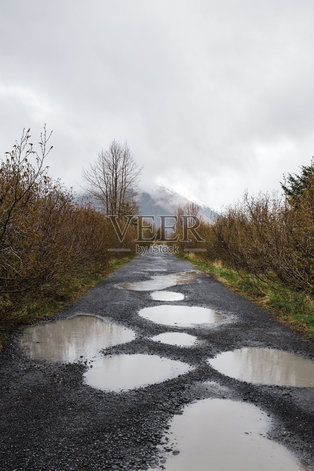 森林小径上的水坑的垂直镜头。阿拉斯加的秋雨照片摄影图片