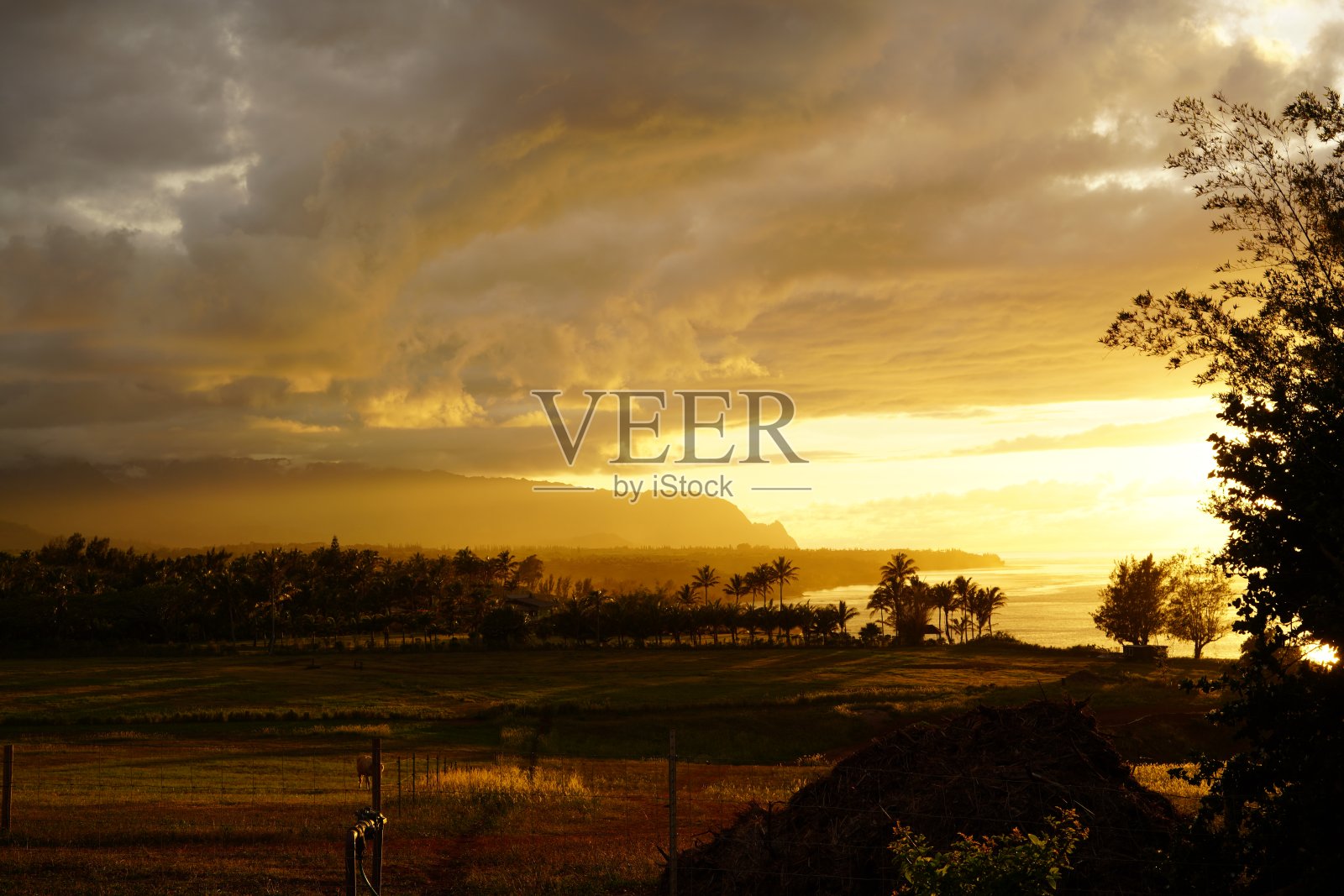 考艾岛农场的日落风景照片摄影图片
