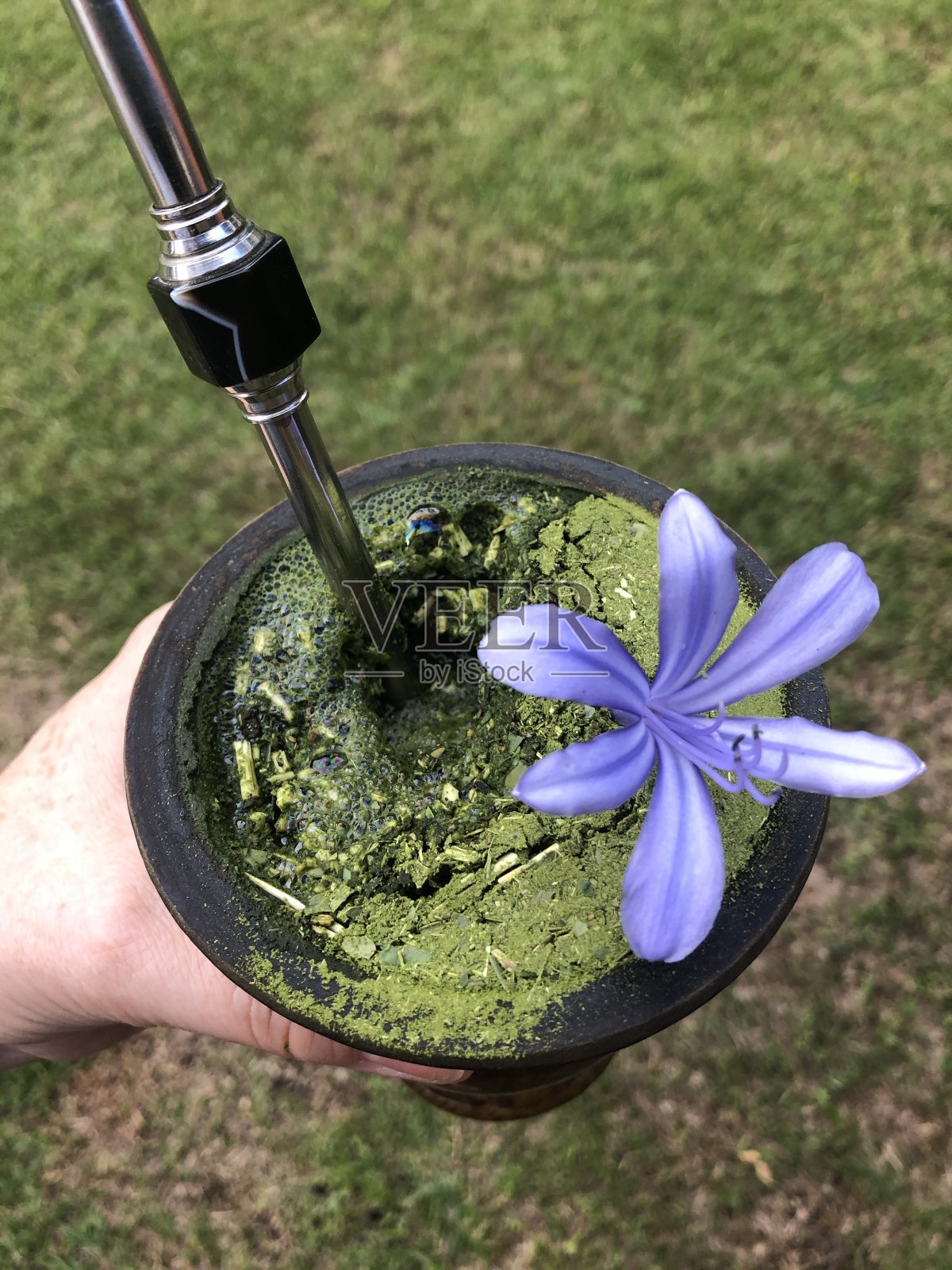 花照片摄影图片