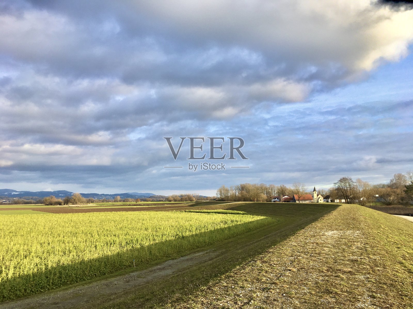 在初冬或晚秋，带着你的狗在巴伐利亚州下散步。照片摄影图片