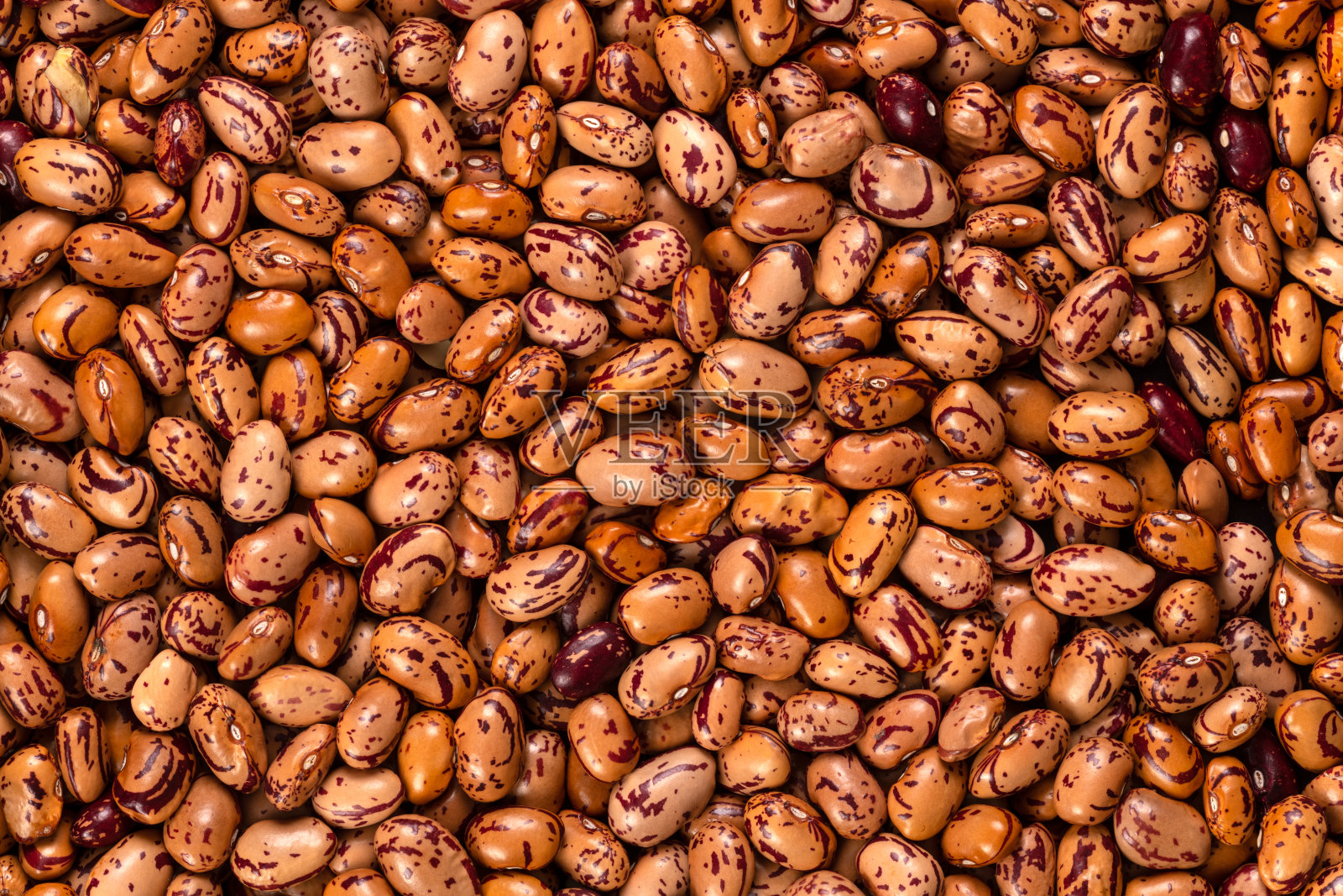 白色的Cargamanto豆背景和质地照片摄影图片