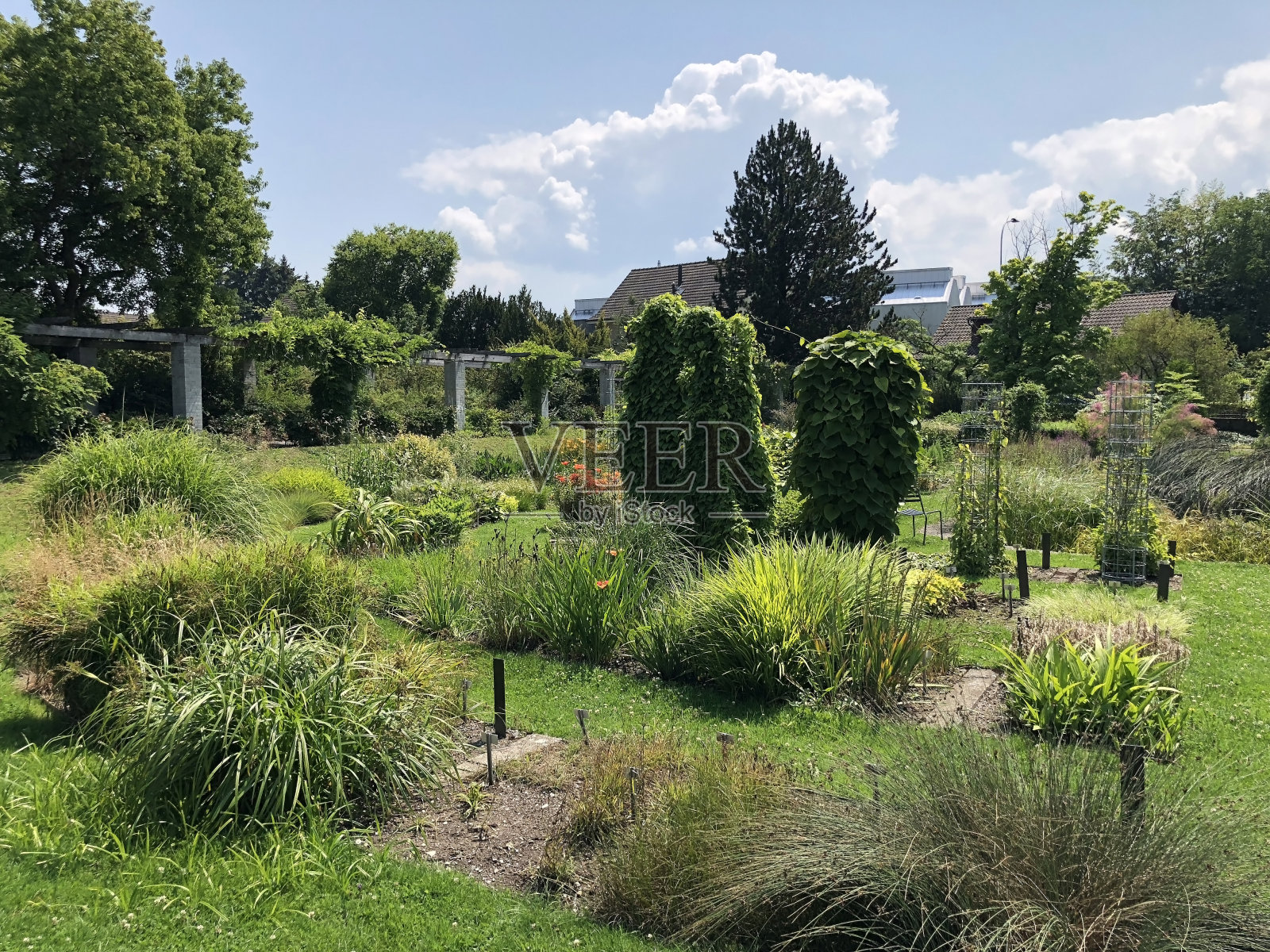 圣加仑植物园或瑞士圣加仑植物园照片摄影图片