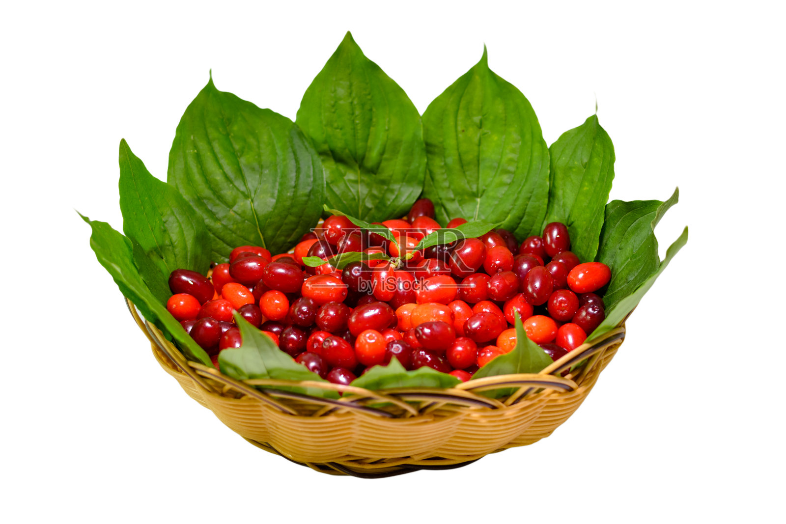 红色的浆果，成熟的山茱萸在篮子里照片摄影图片