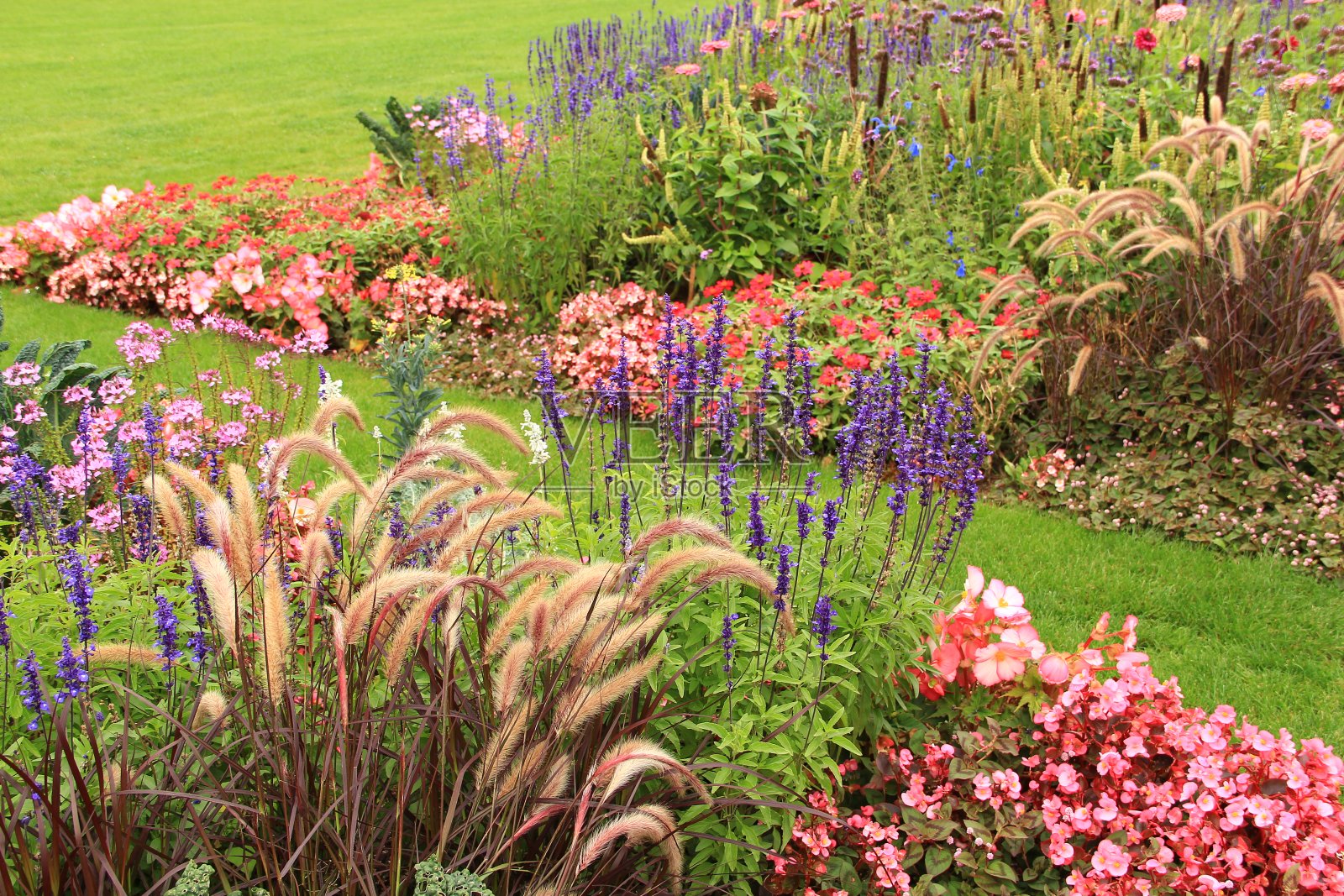 穿过花坛照片摄影图片