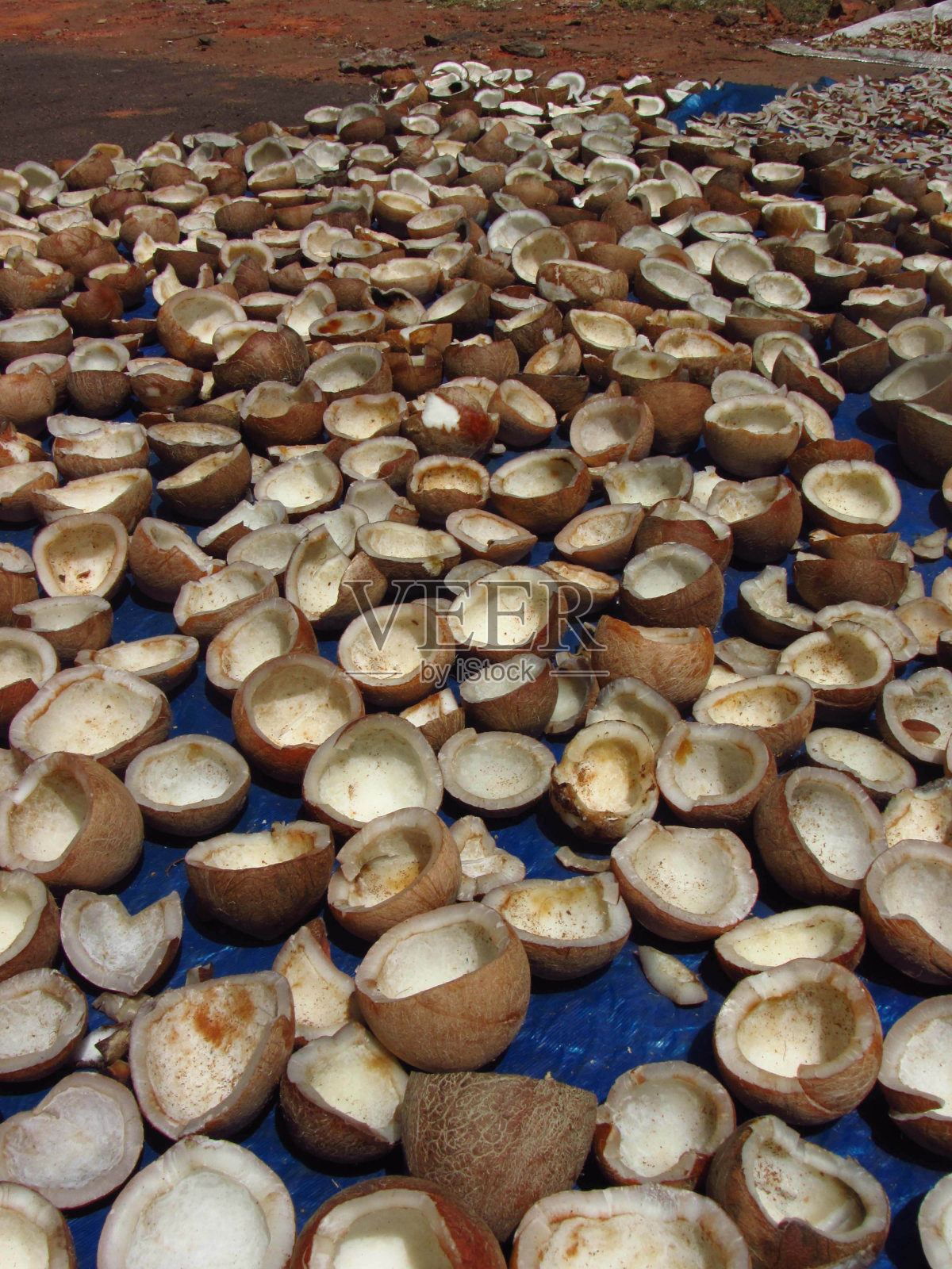 许多椰子被切成两半照片摄影图片