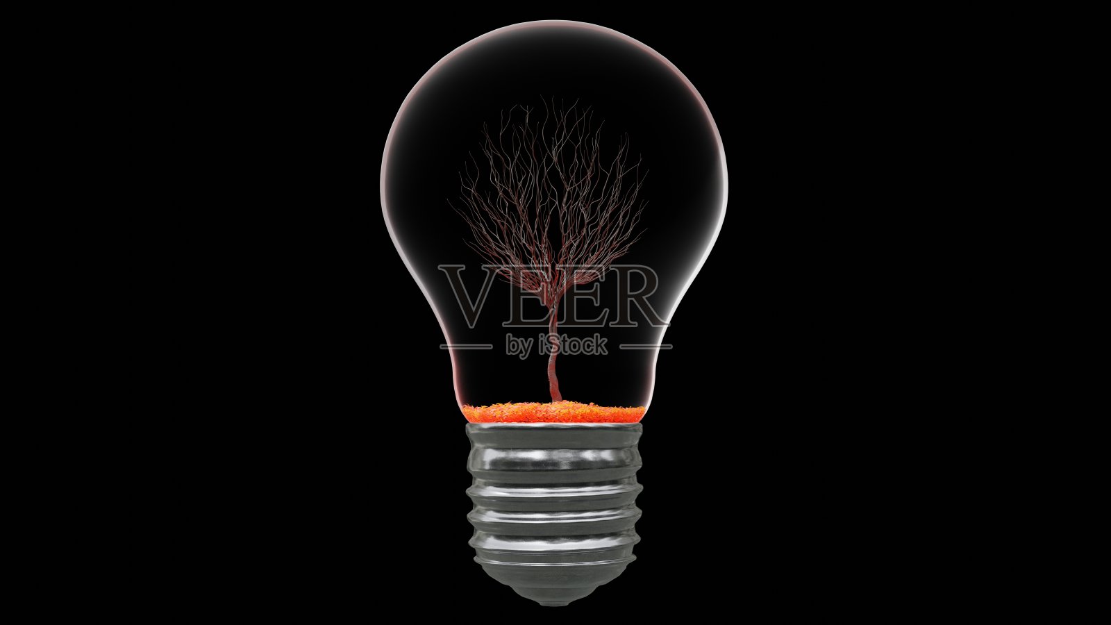灯泡里面有树，背景是黑色。绿色能源的概念。照片摄影图片