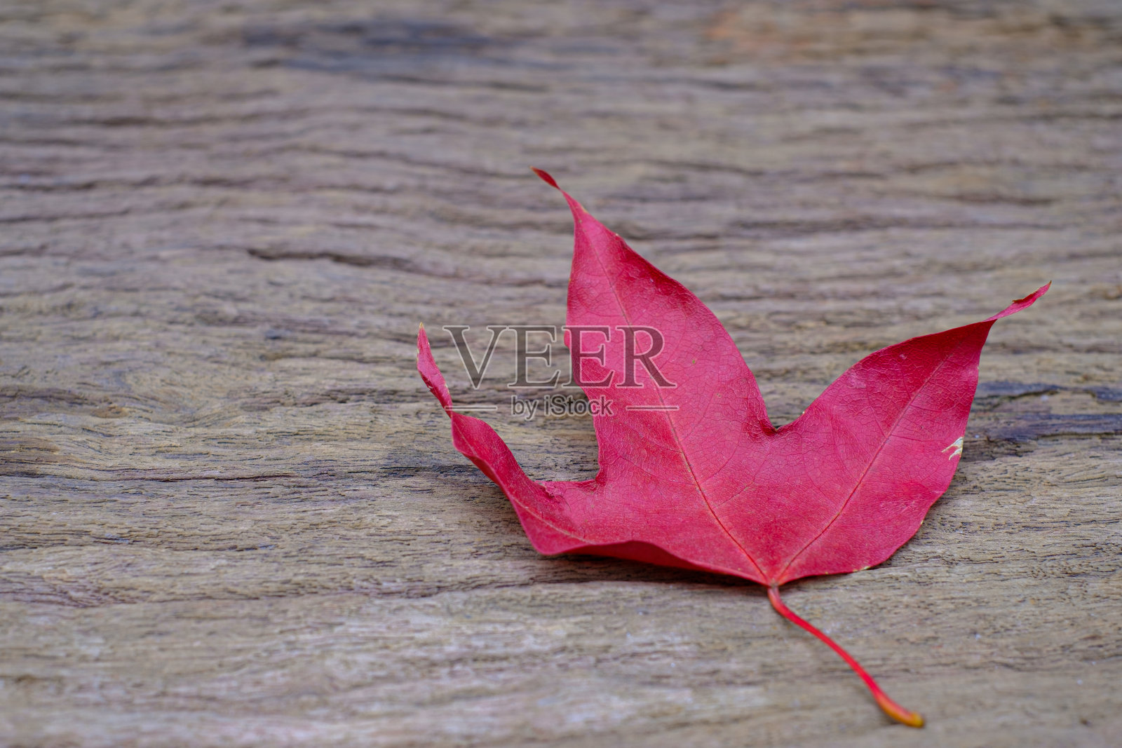 红色的枫树叶在老木头的背景上照片摄影图片