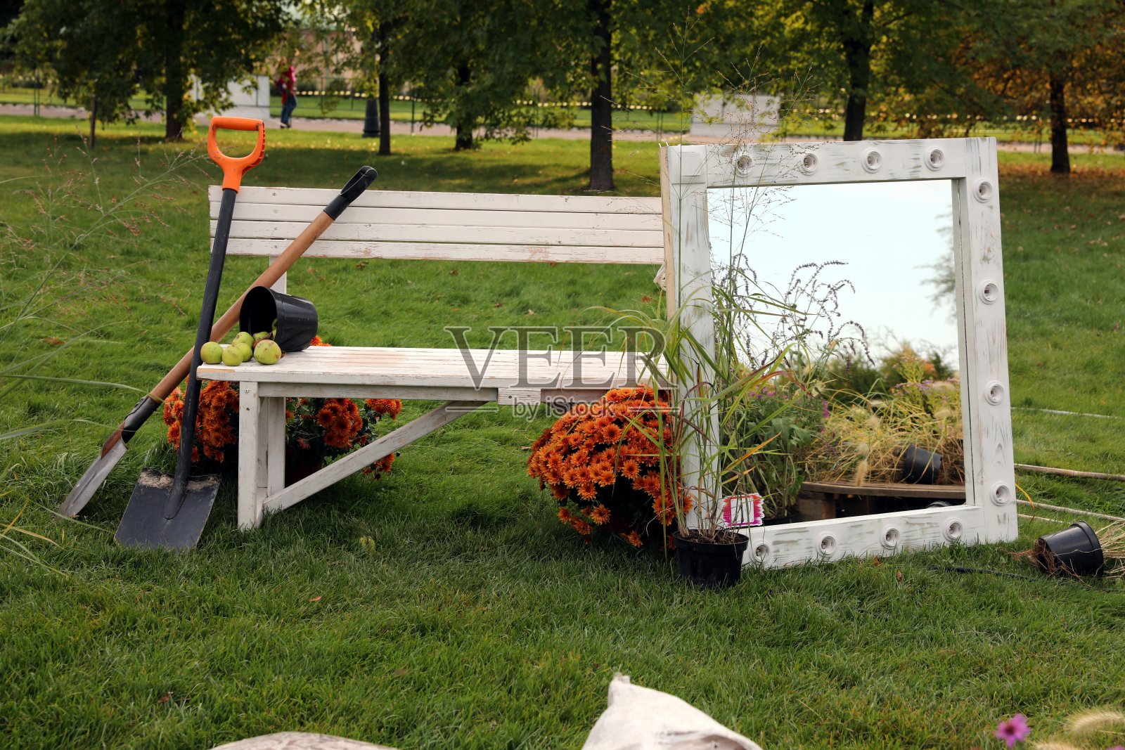 秋天在公园或花园里照片摄影图片