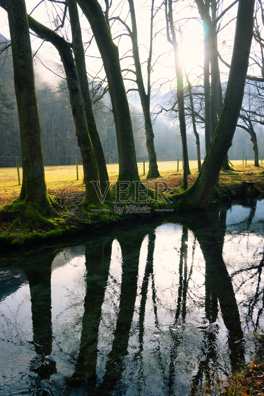 法国Vizille周围的自然公园照片摄影图片