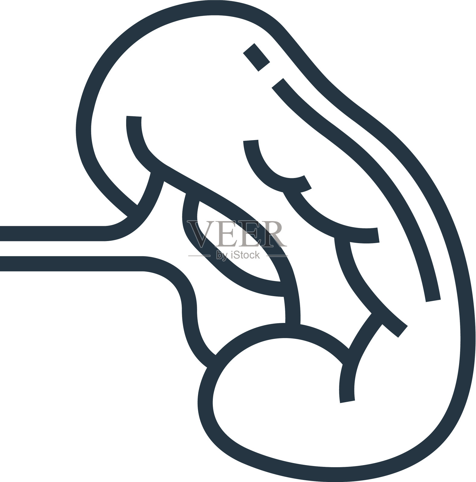 脾脏图标脾脏可编辑，描脾线形图标素材