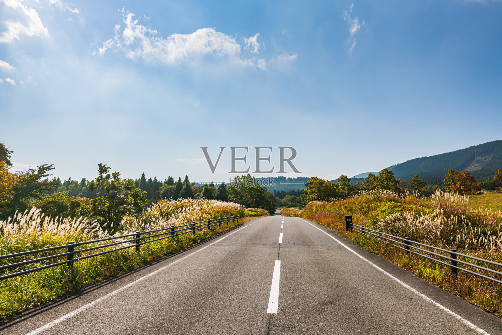 秋天Kujukogen高地照片摄影图片