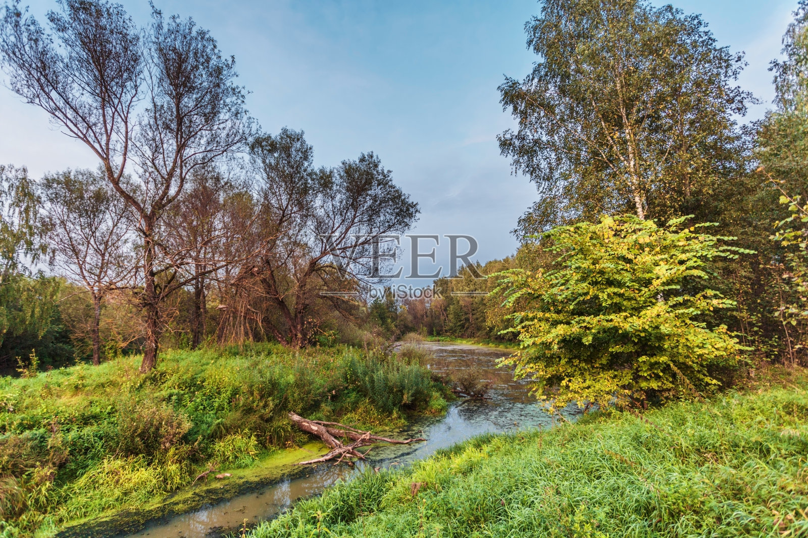 夏日阴沉天空下的田野照片摄影图片