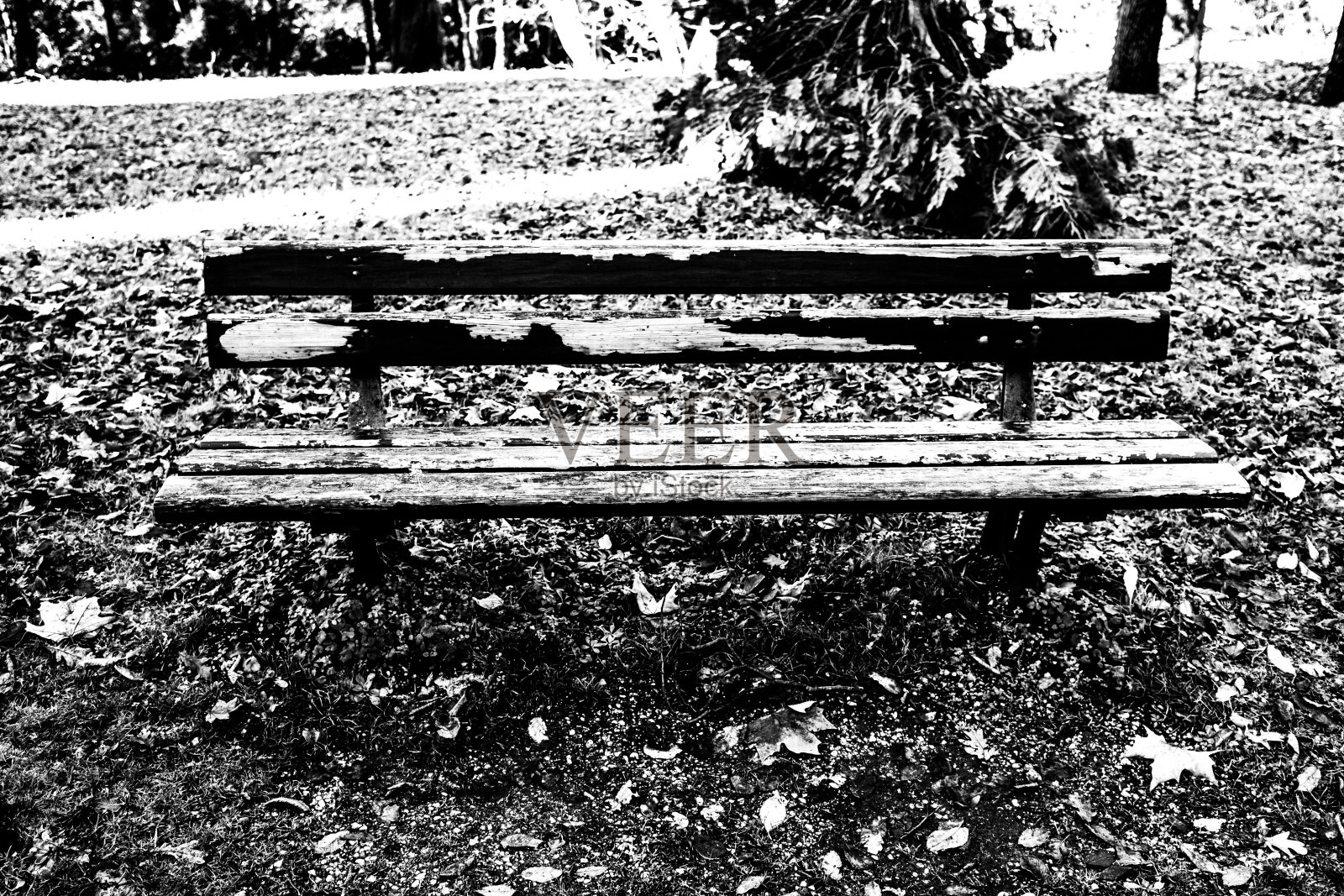 孤独的长椅上一个照片摄影图片