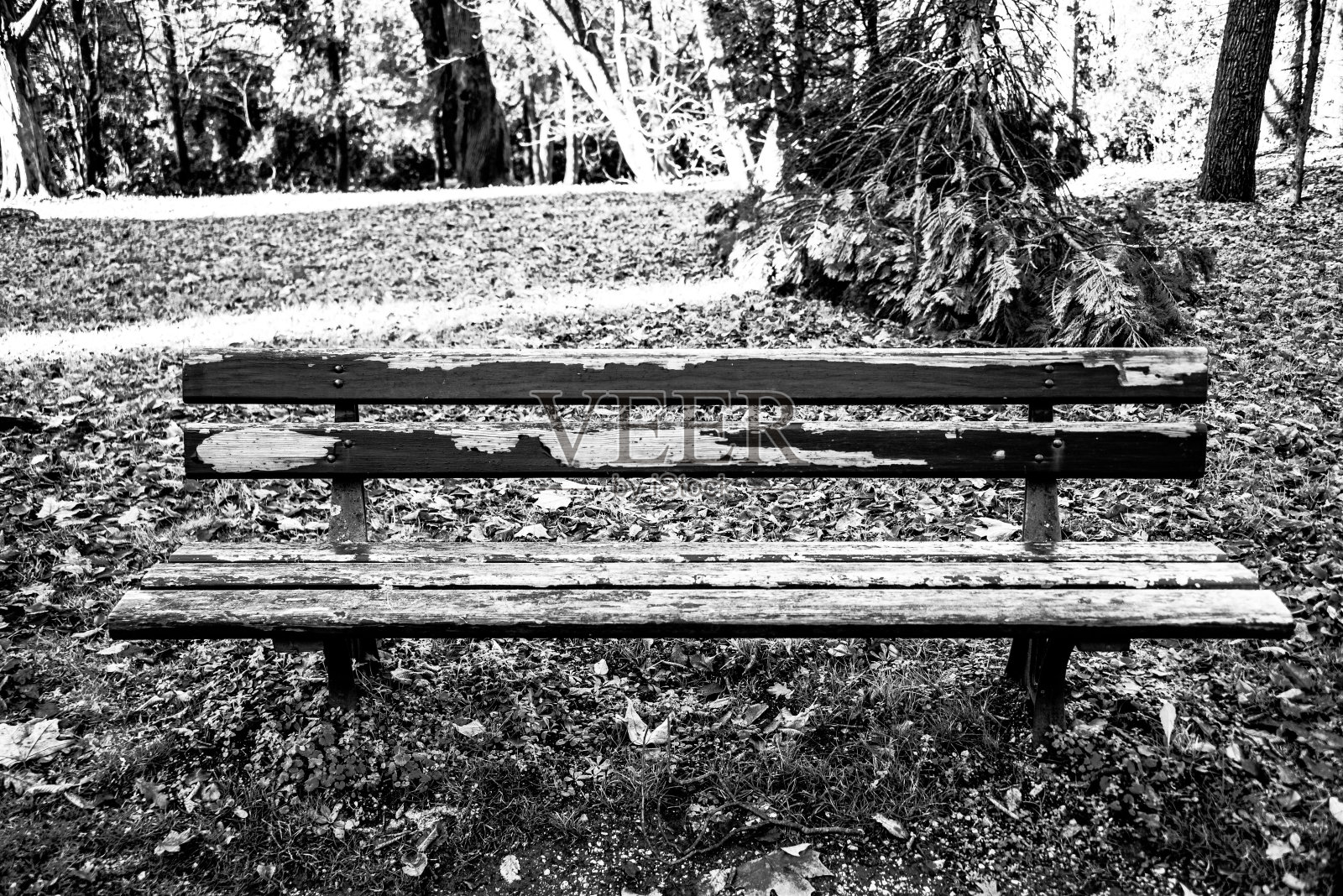 孤独的长椅上照片摄影图片