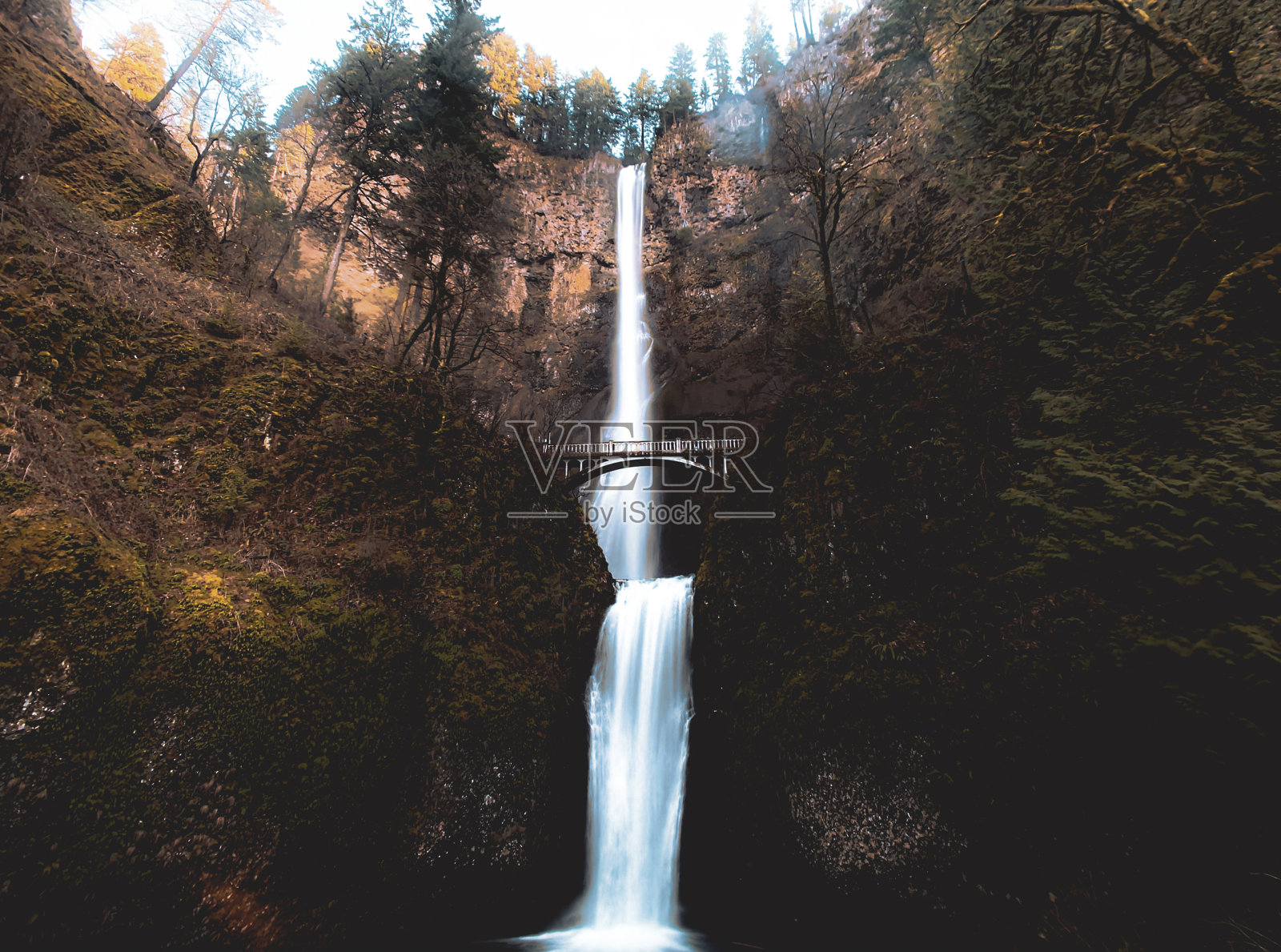 坚实可靠,俄勒冈州照片摄影图片