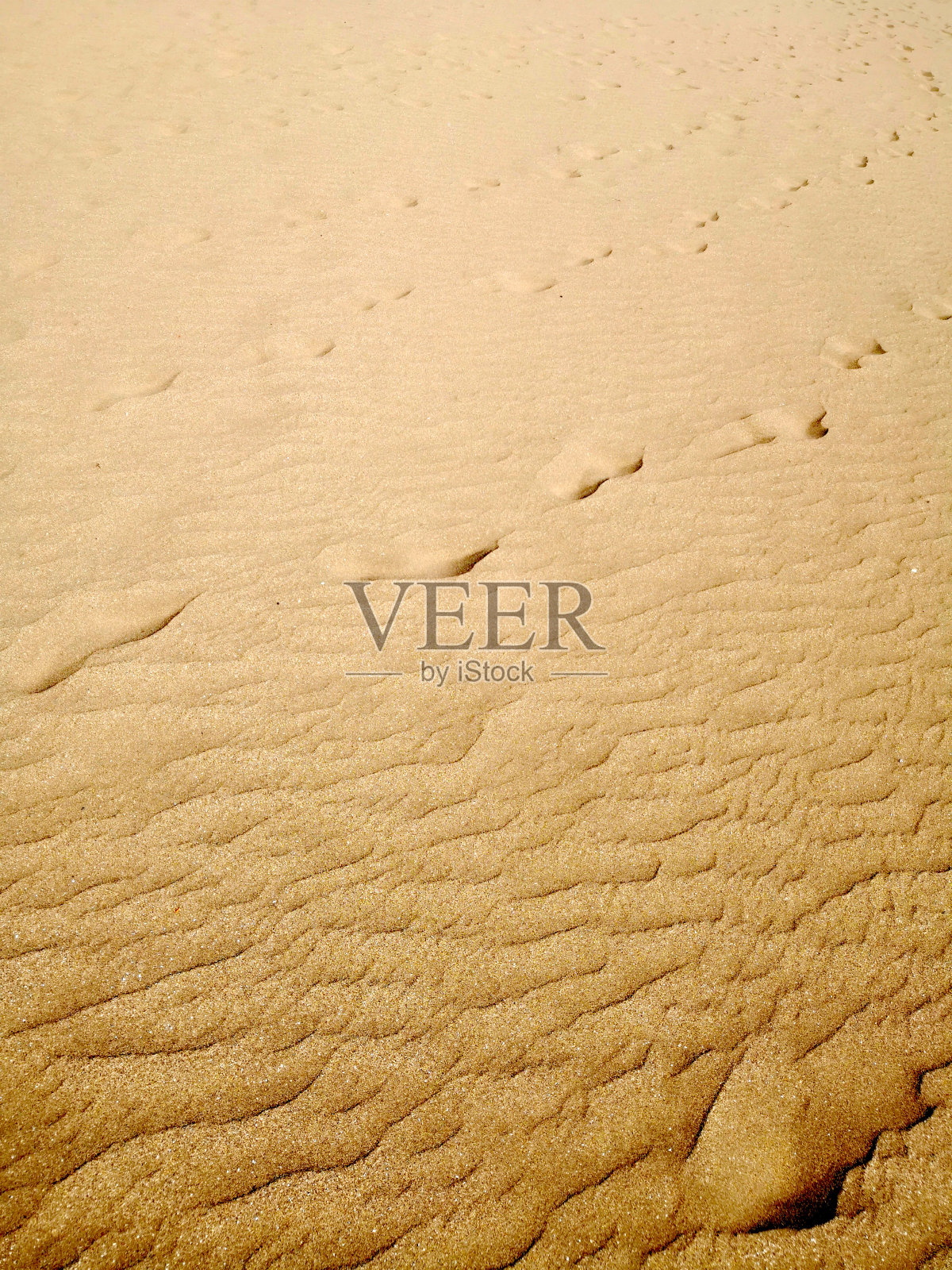 亮金色的波纹沙上有纹理的脚印和风的痕迹。海滩上旅客的脚印，沙粒清晰可见。自然黄色纹理背景照片摄影图片