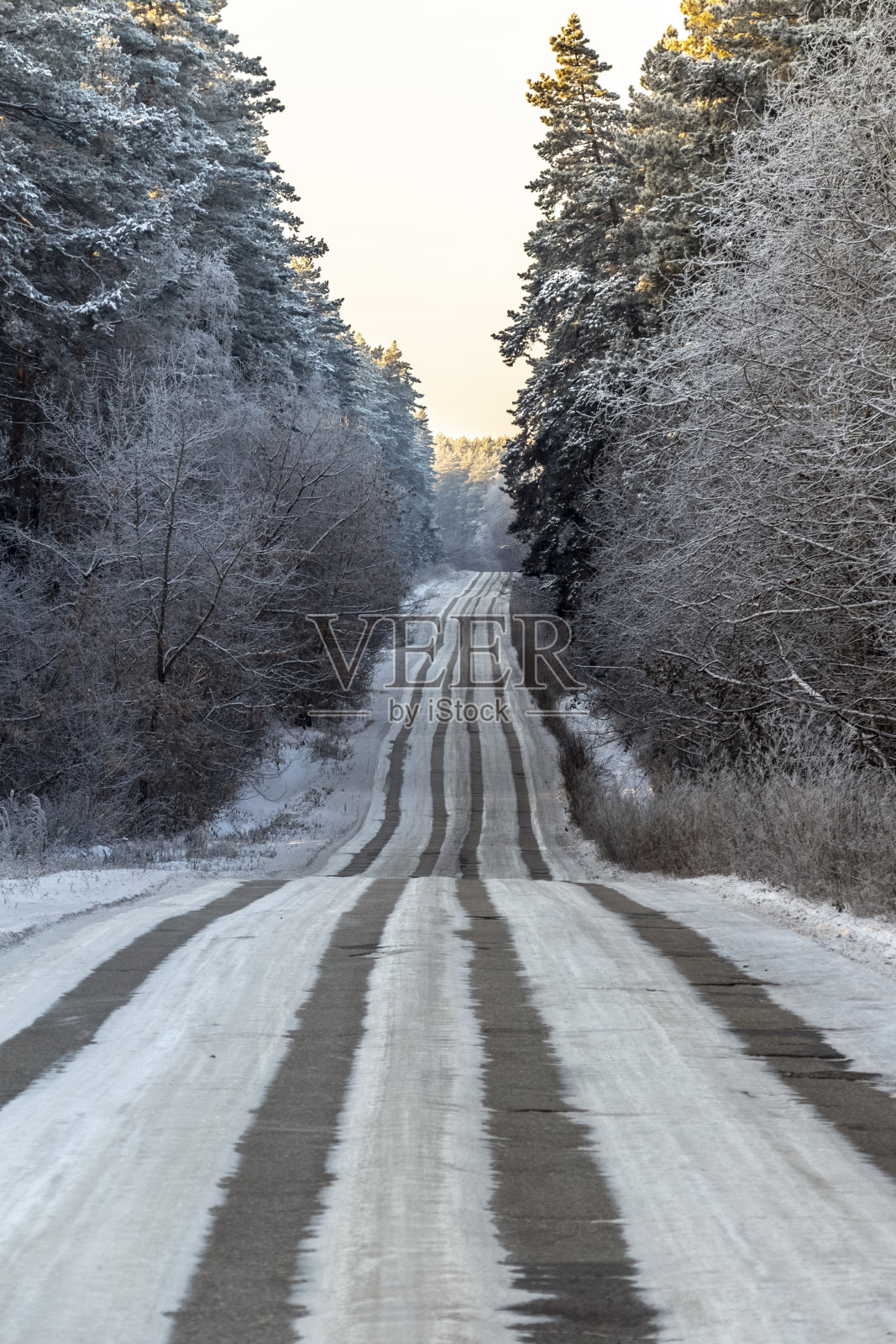 穿过冬天森林的路照片摄影图片