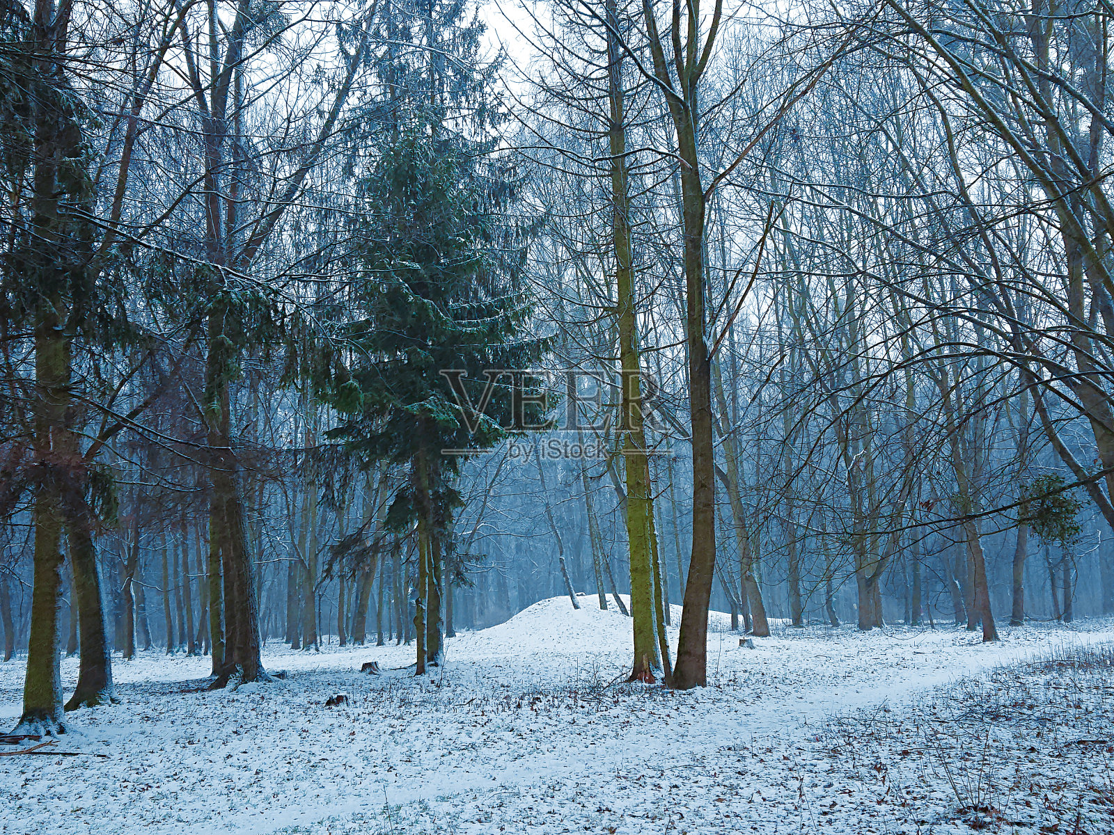 冰雪覆盖的冬季公园，美丽的冬季自然，寒冷的天气，白雪皑皑的冬季森林背景。照片摄影图片
