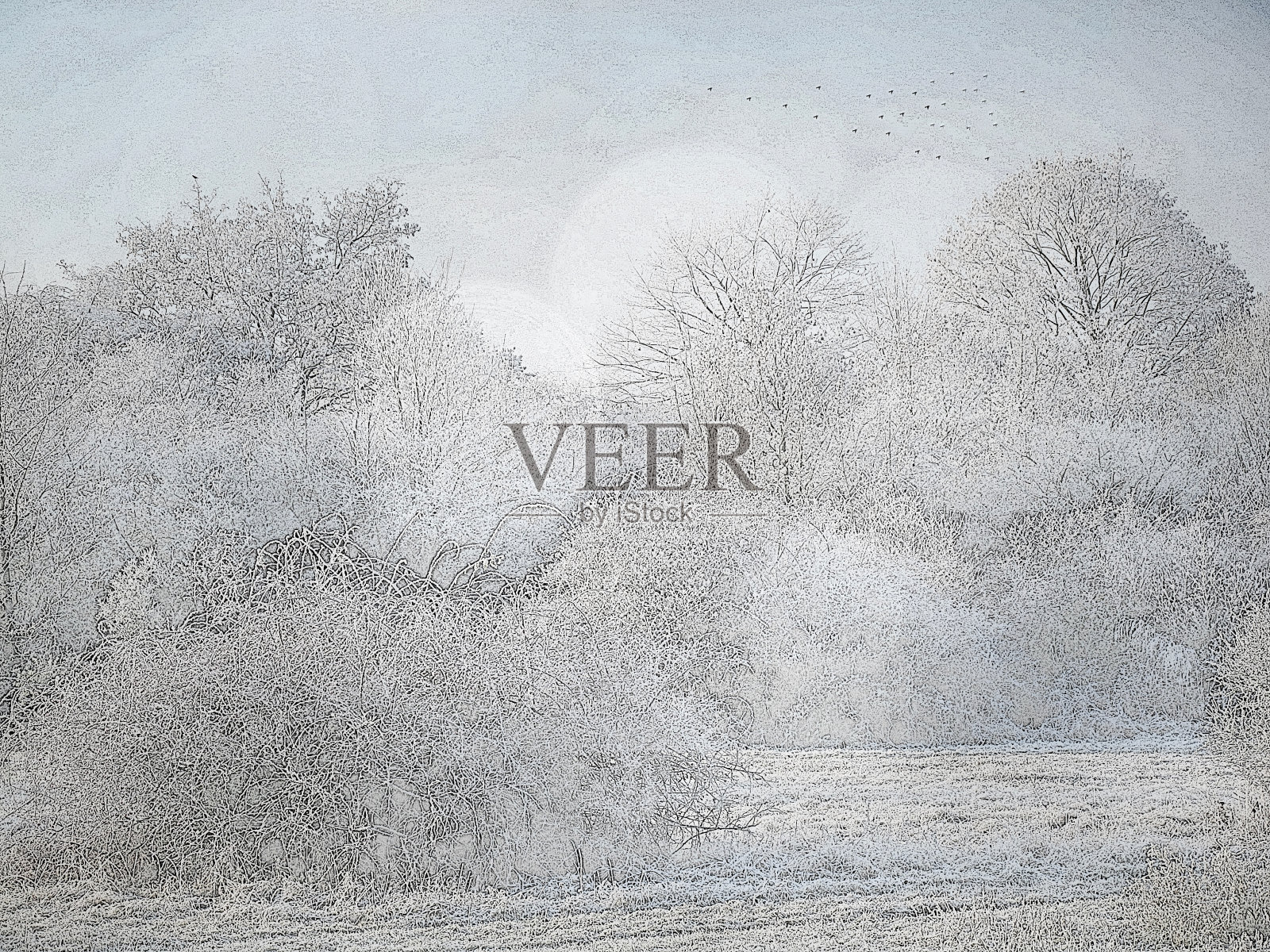 数字生成的图像的风景-风景在冬天照片摄影图片