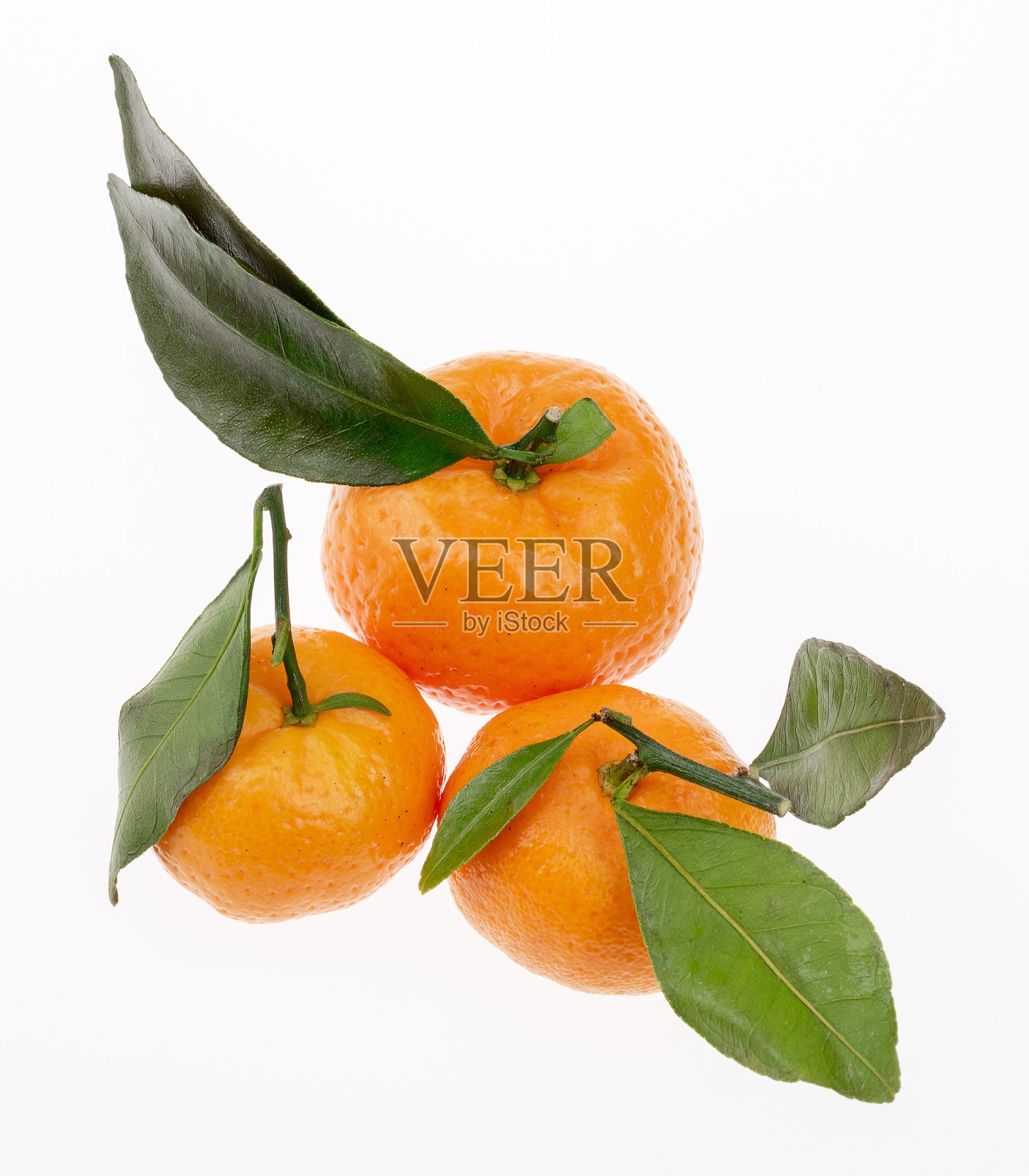 三个橘子在浅色的背景上照片摄影图片