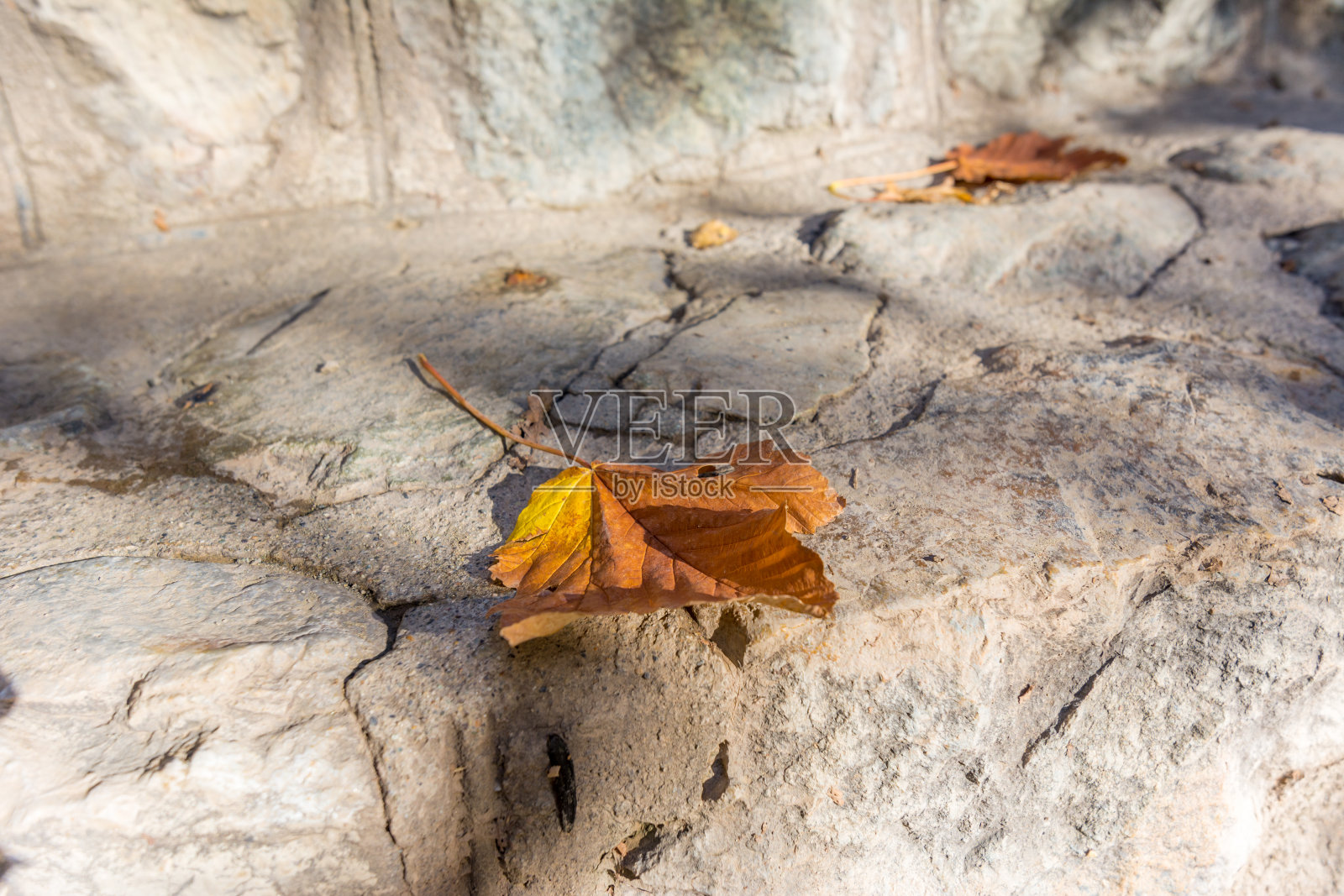 秋季德黑兰Tochal山Darband山谷的金色落叶和石头照片摄影图片