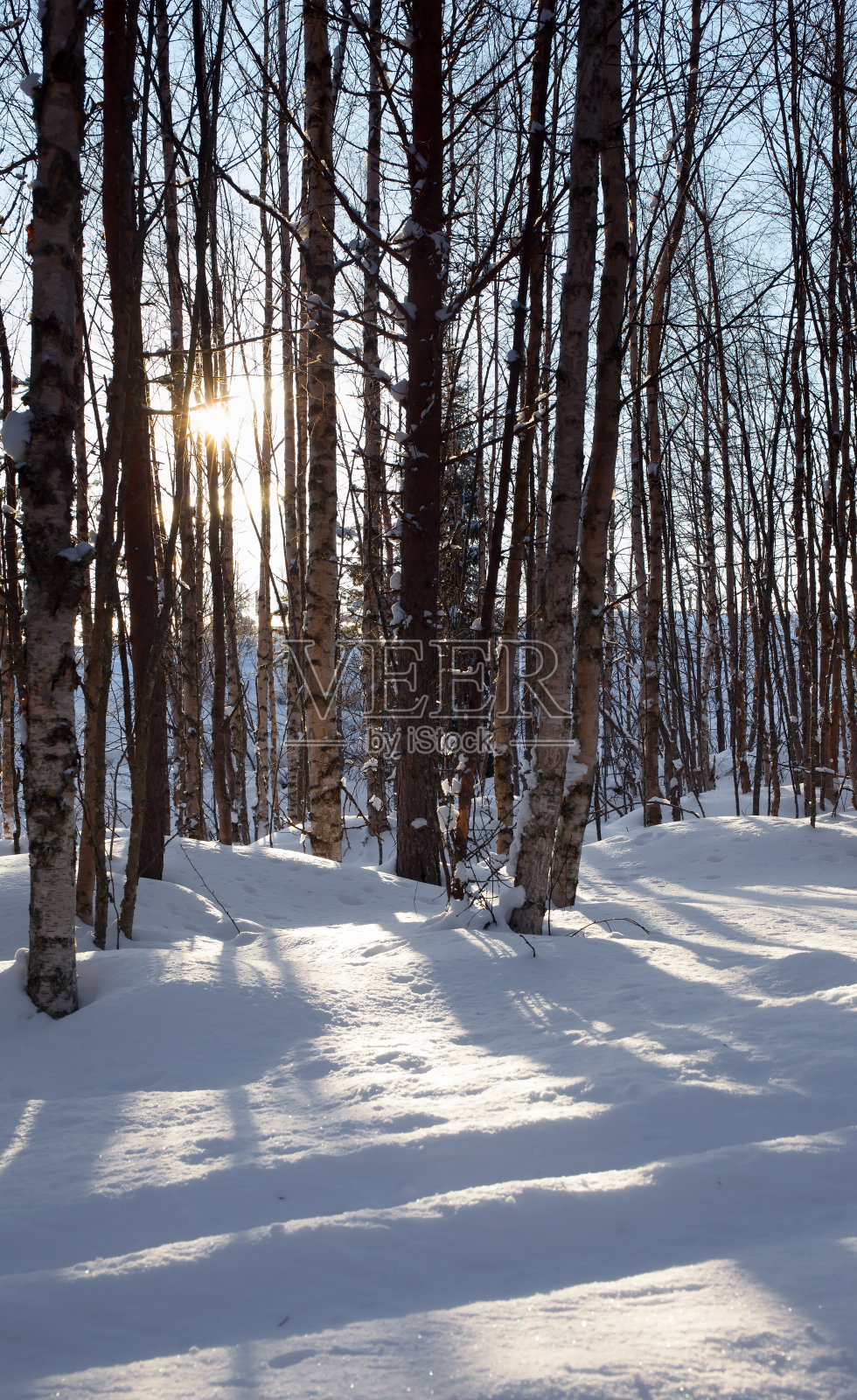 雪有阴影照片摄影图片