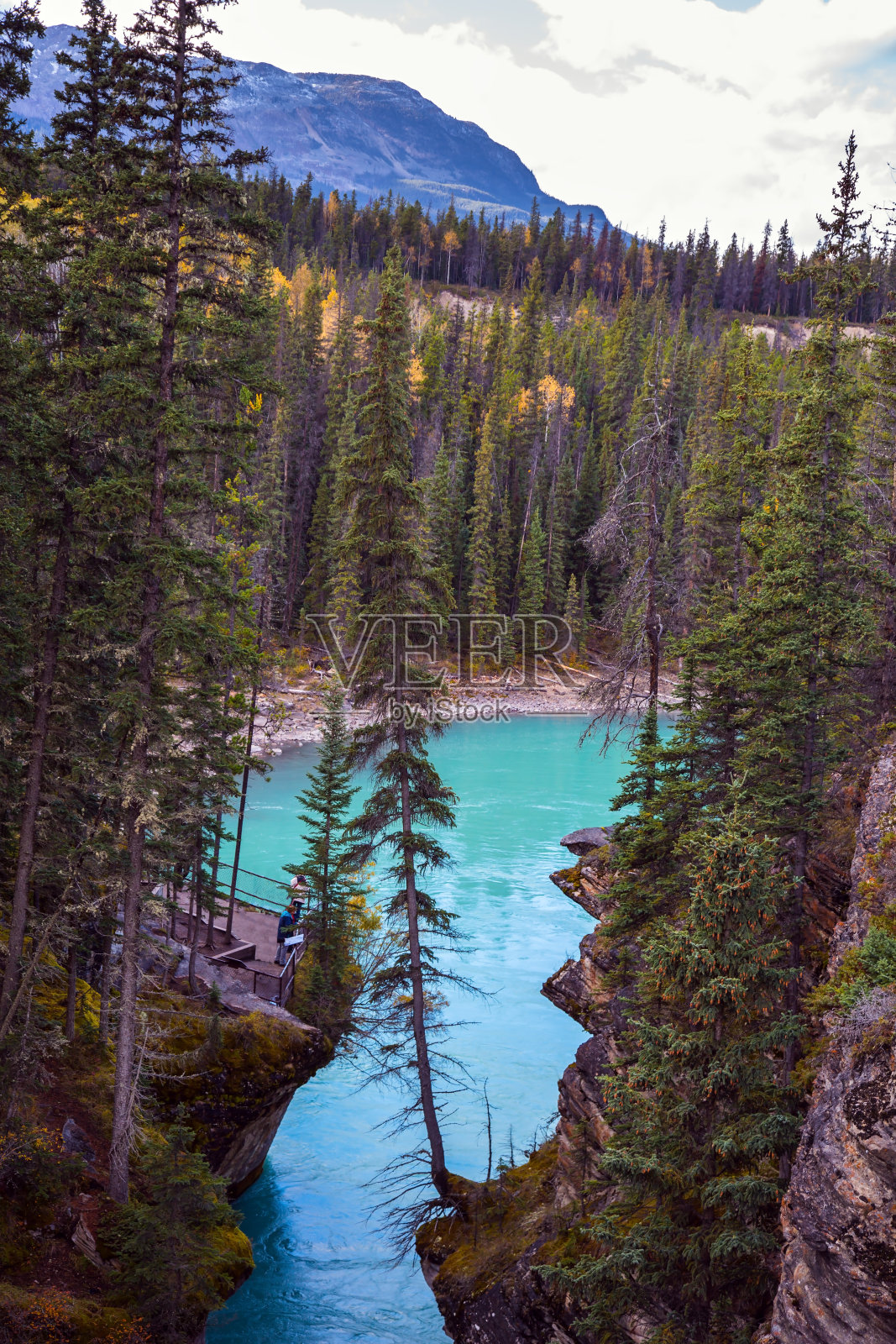 阿萨巴斯卡河照片摄影图片