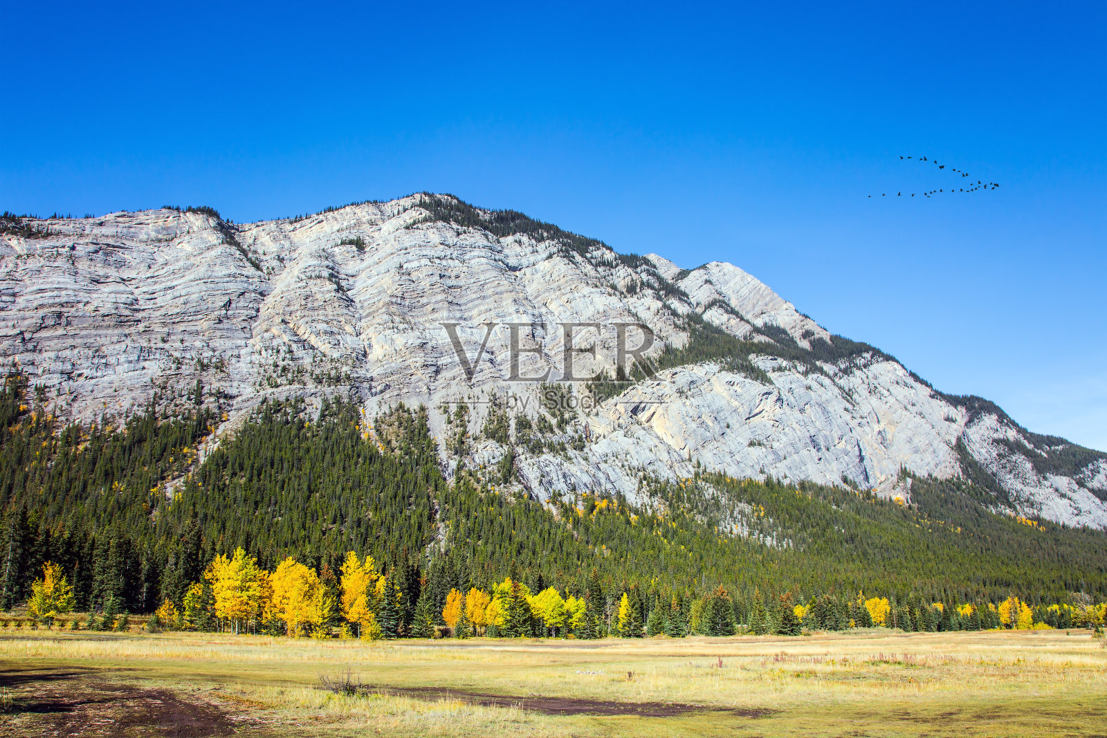 风景如画的湖岸照片摄影图片