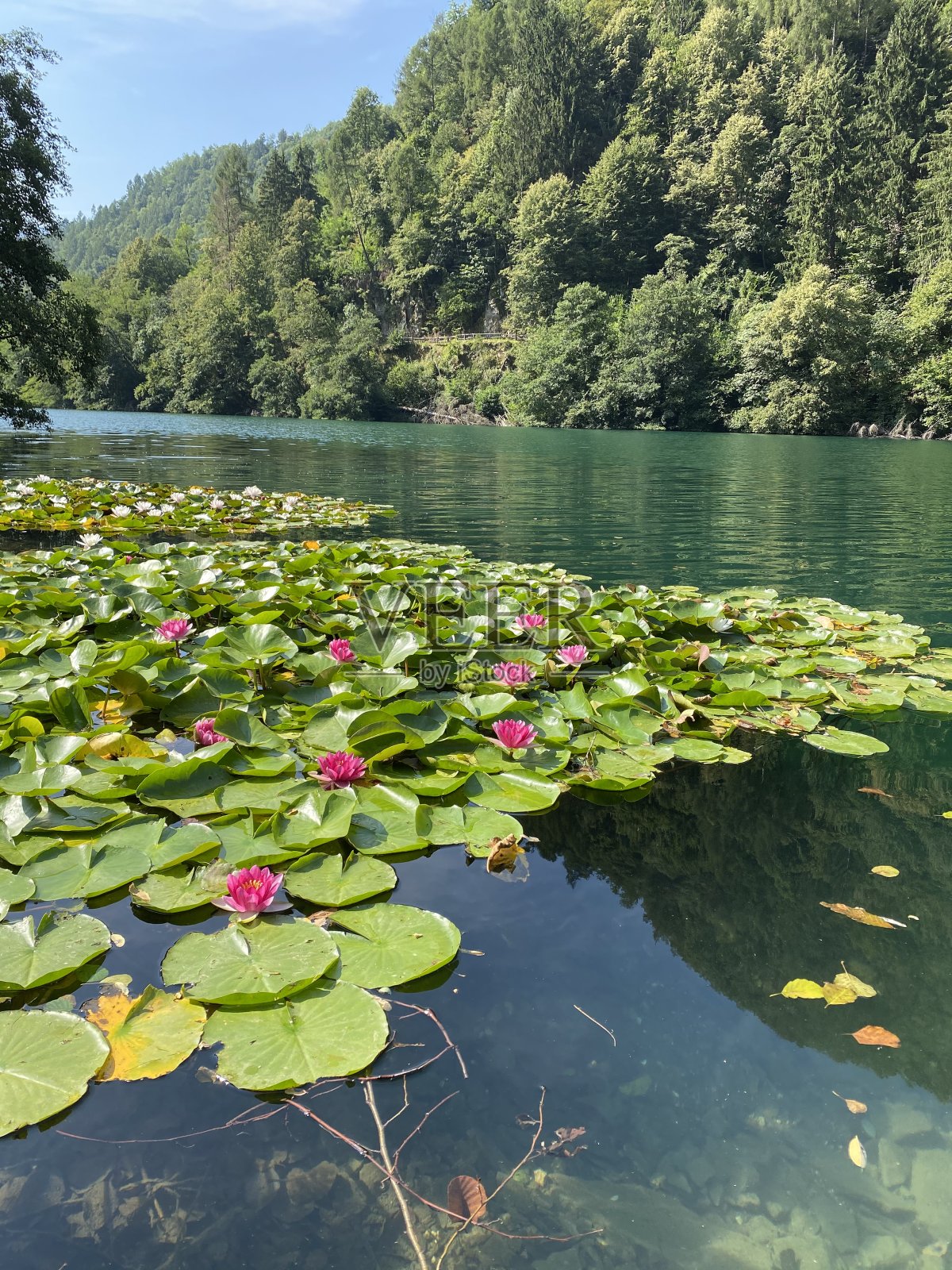 湖Levico照片摄影图片