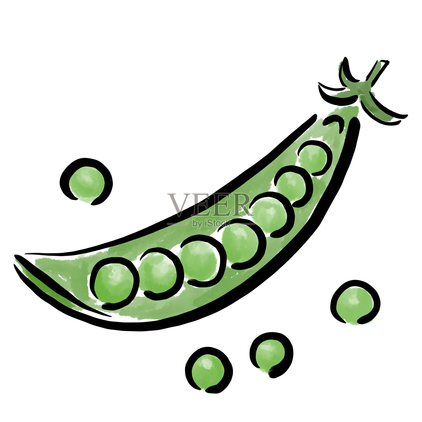 绿豌豆插图水彩设计元素图片