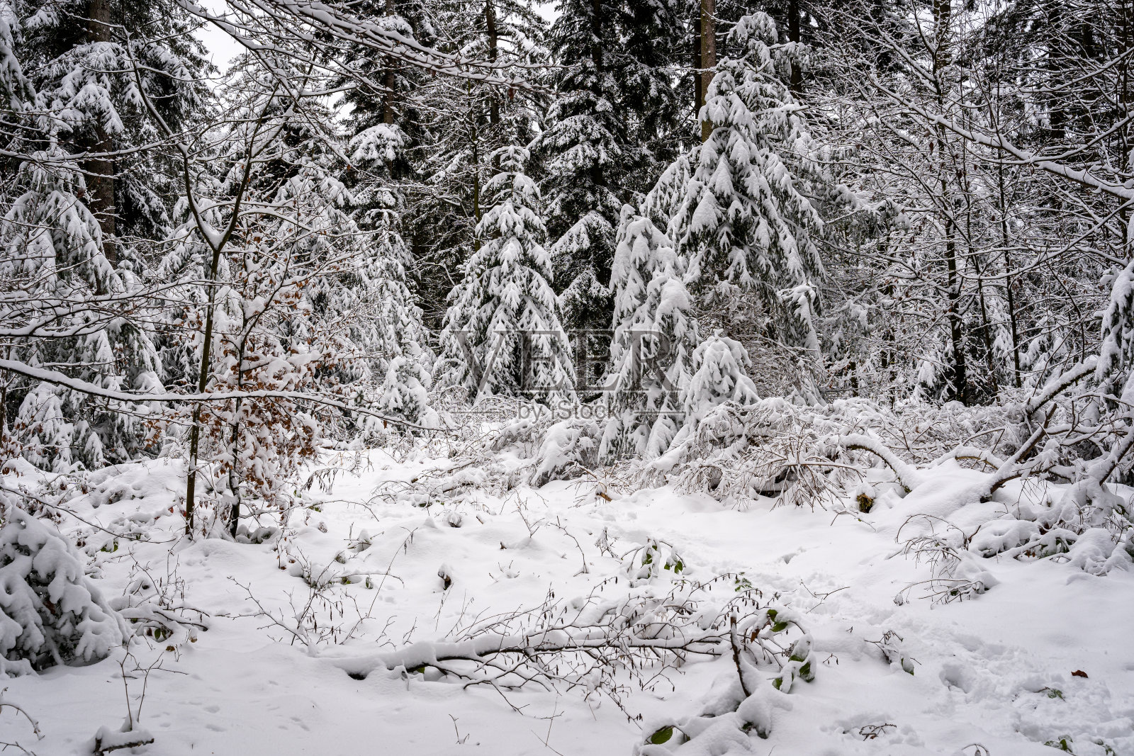 德国黑森林冬天的风景照片摄影图片