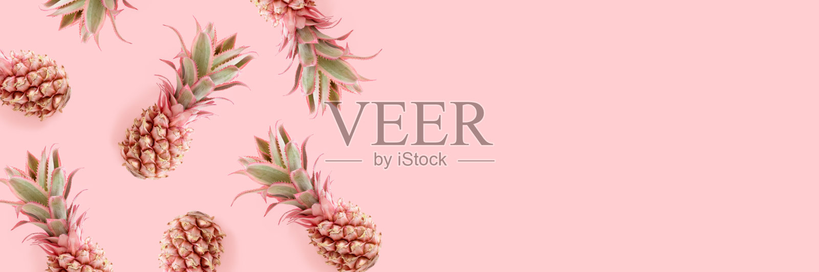 头部与框架的粉红色菠萝。照片摄影图片