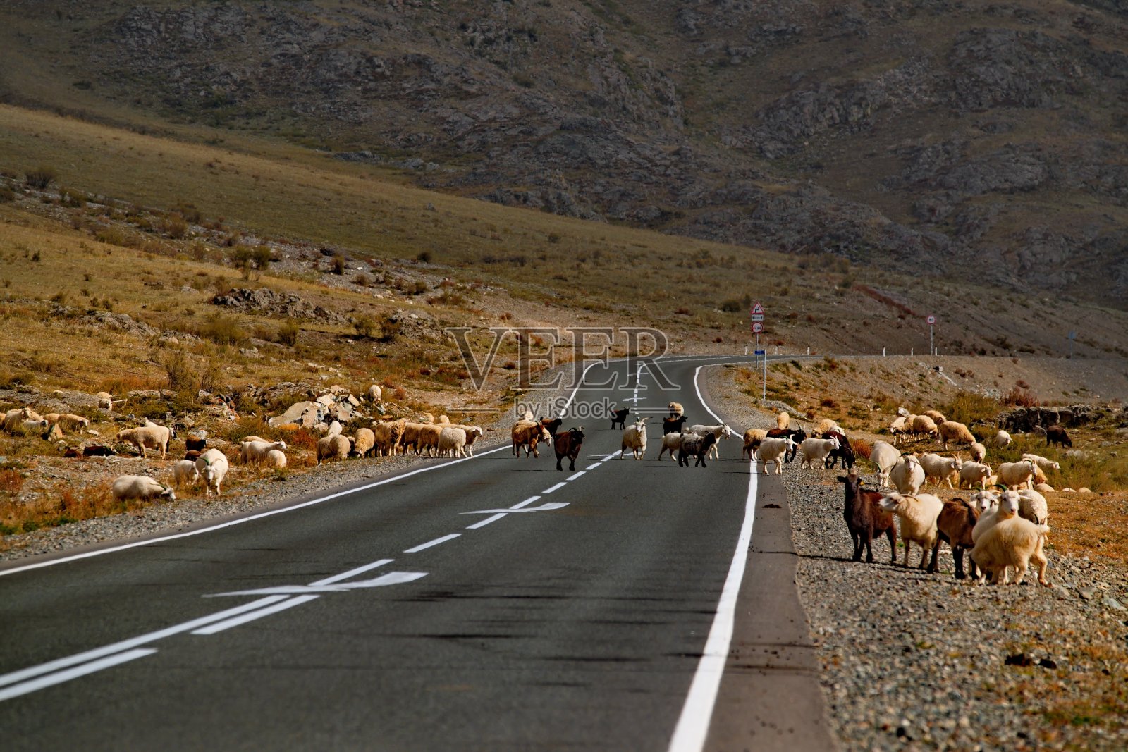 没有规则的交通照片摄影图片