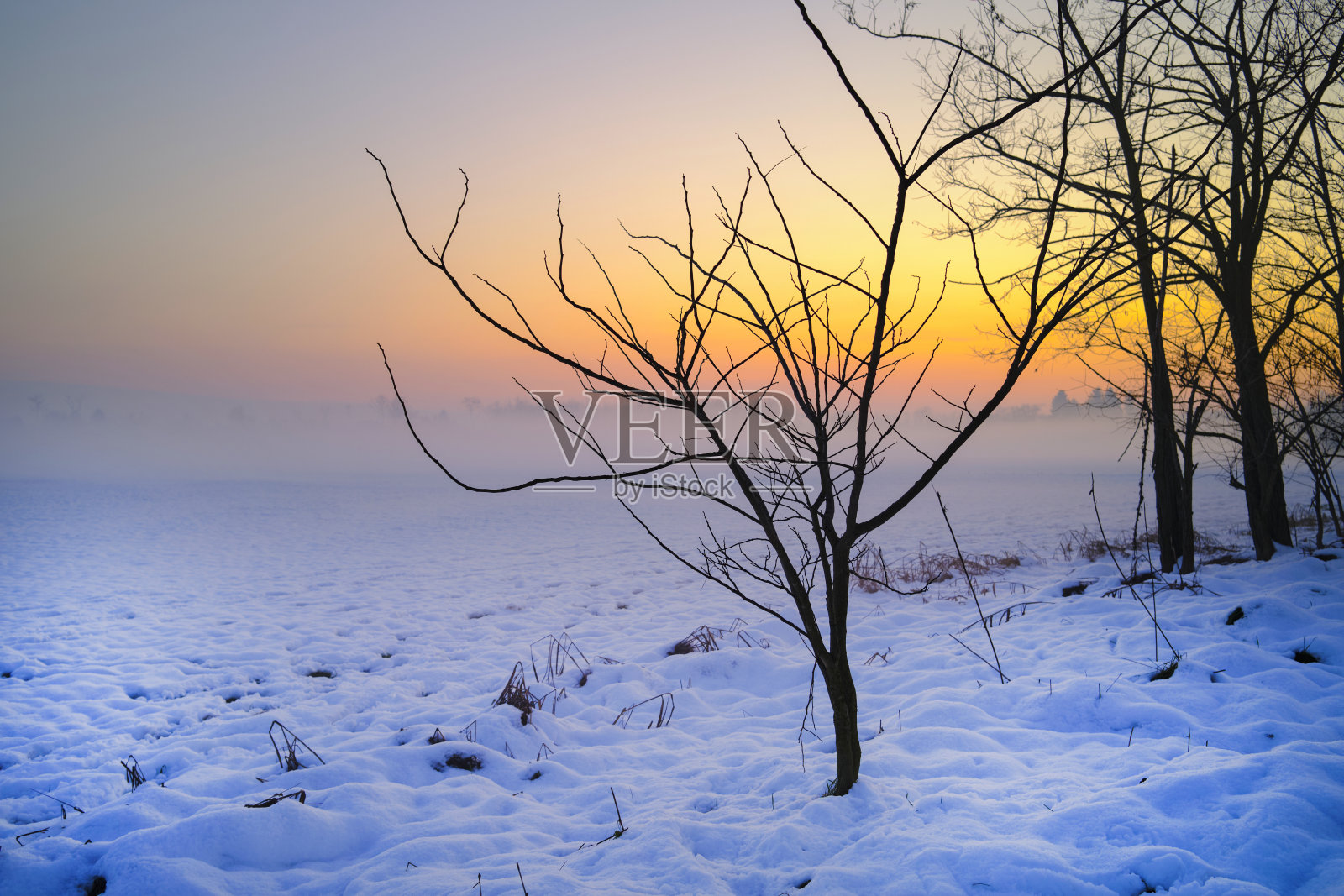 公园有雪照片摄影图片