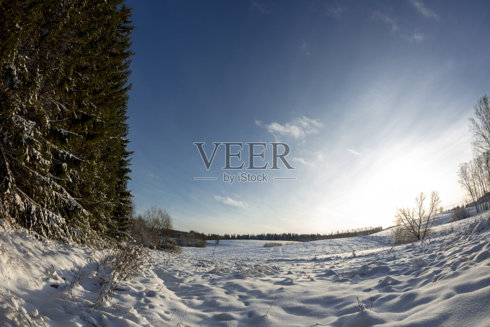 初雪景观照片摄影图片