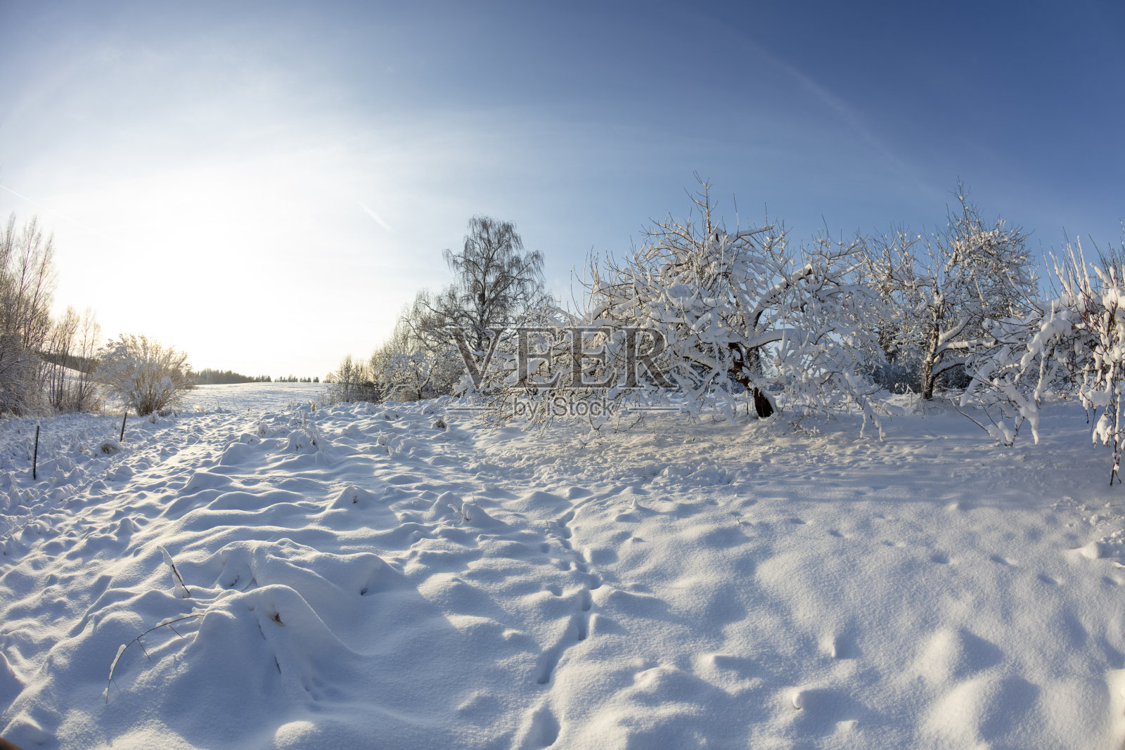 初雪景观照片摄影图片