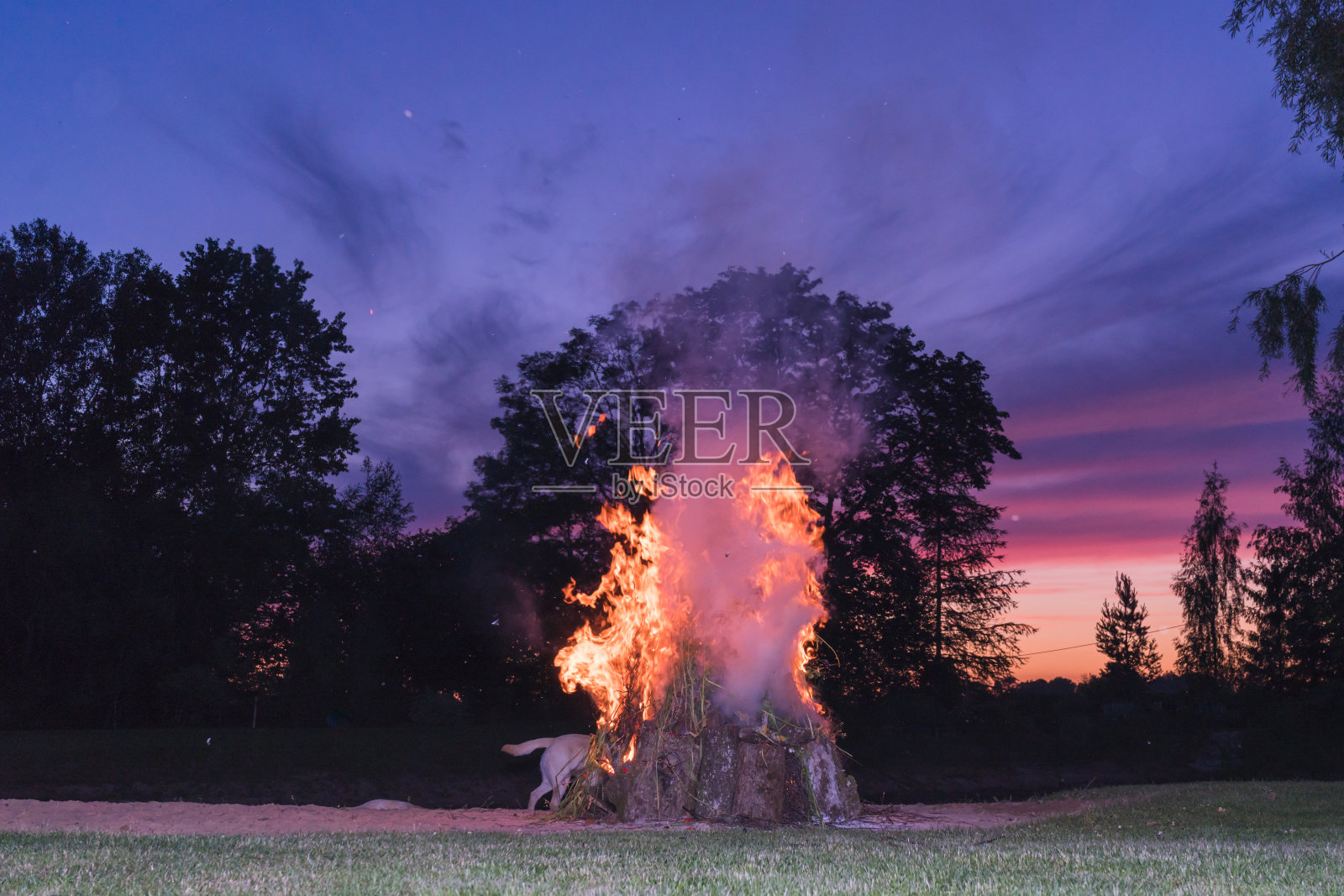 夏至晚上的篝火照片摄影图片