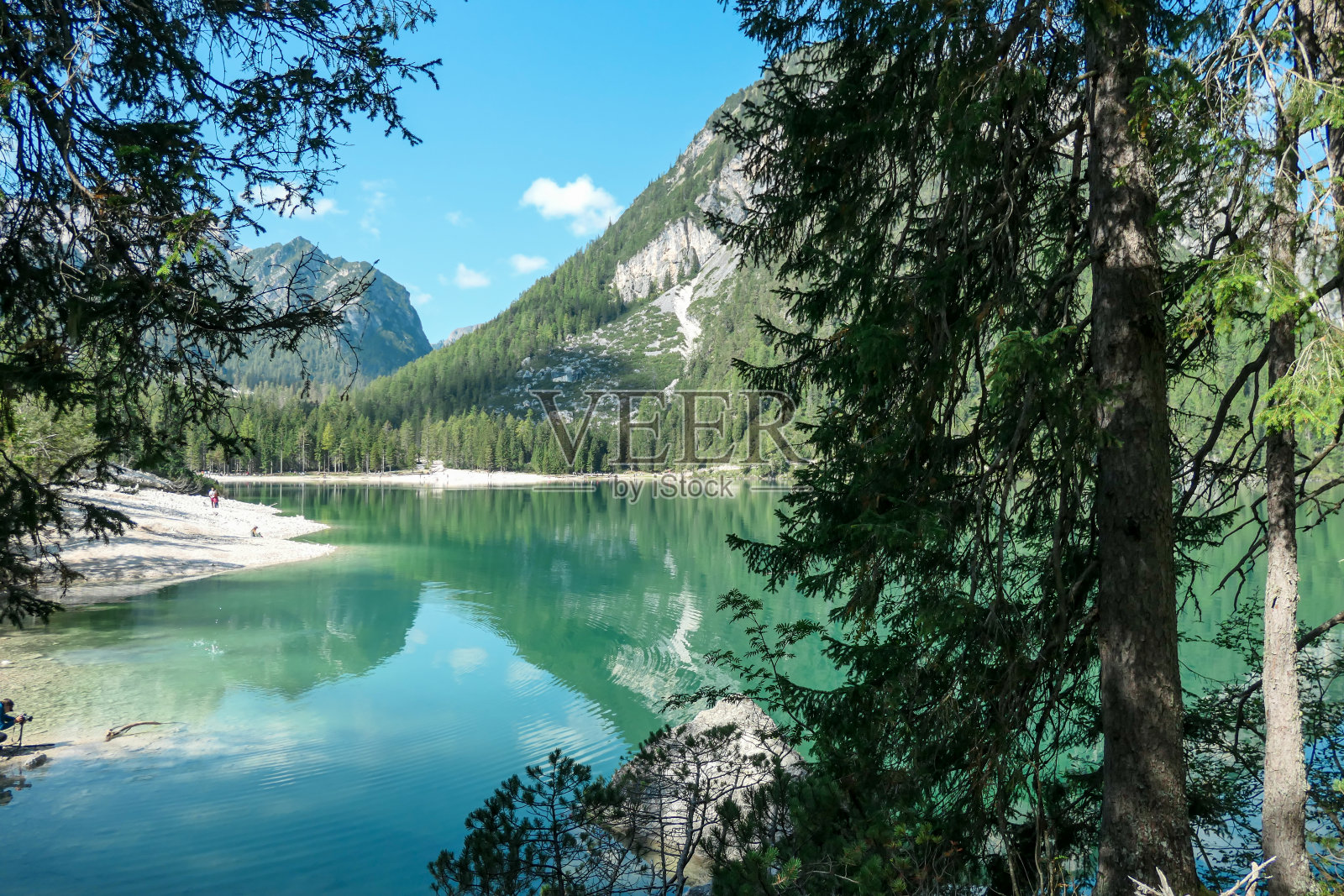 Pragser Wildsee -一个全景在一个湖在南Tirolian Dolomites。高山环湖而行照片摄影图片