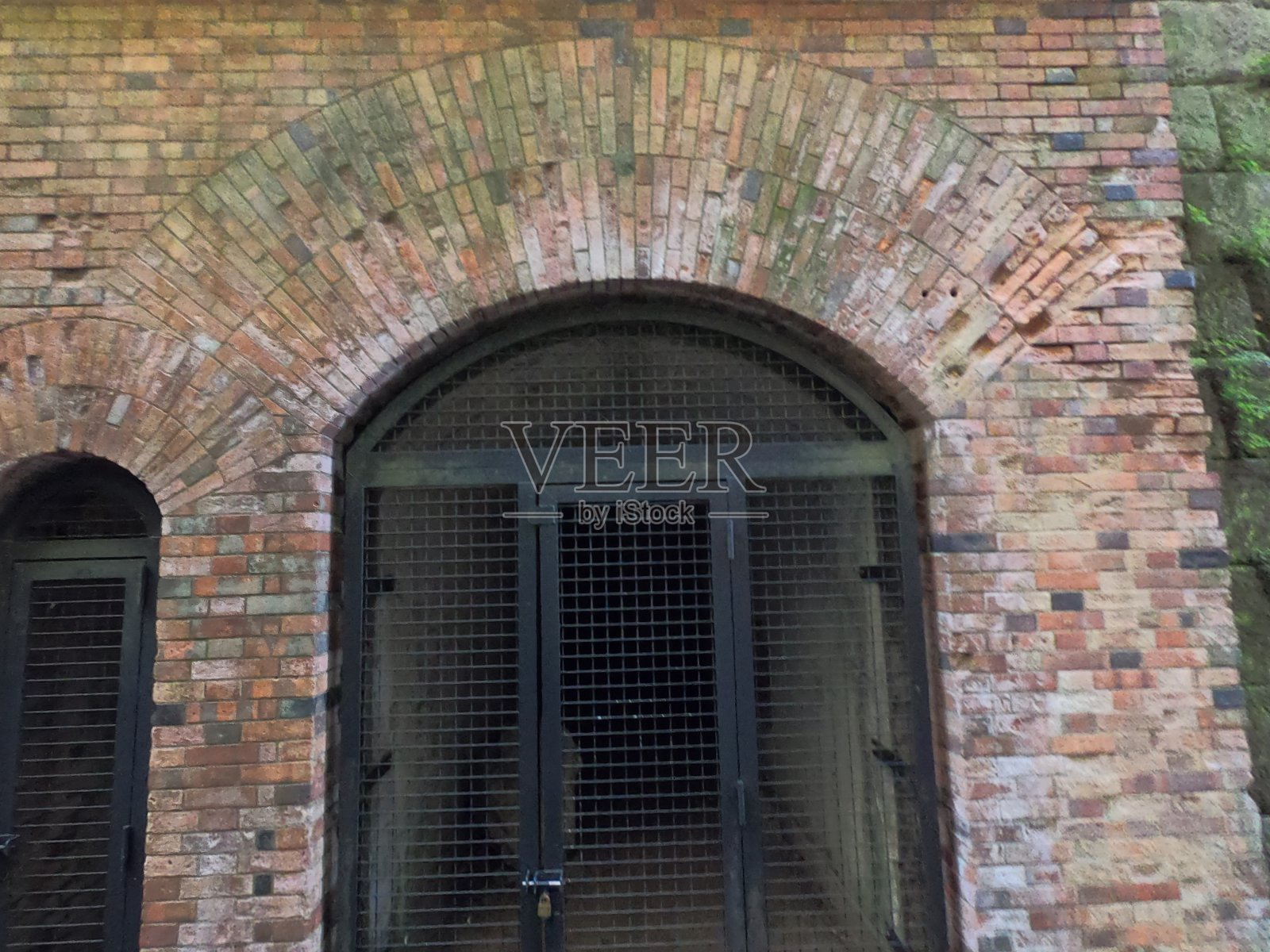 Sarushima岛的景色照片摄影图片