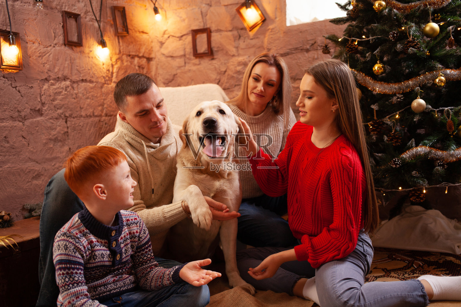 一个快乐的四口之家和一只狗庆祝新年。爸爸，妈妈，儿子和女儿喜欢狗，在圣诞树旁玩得很开心。拉布拉多和孩子。照片摄影图片