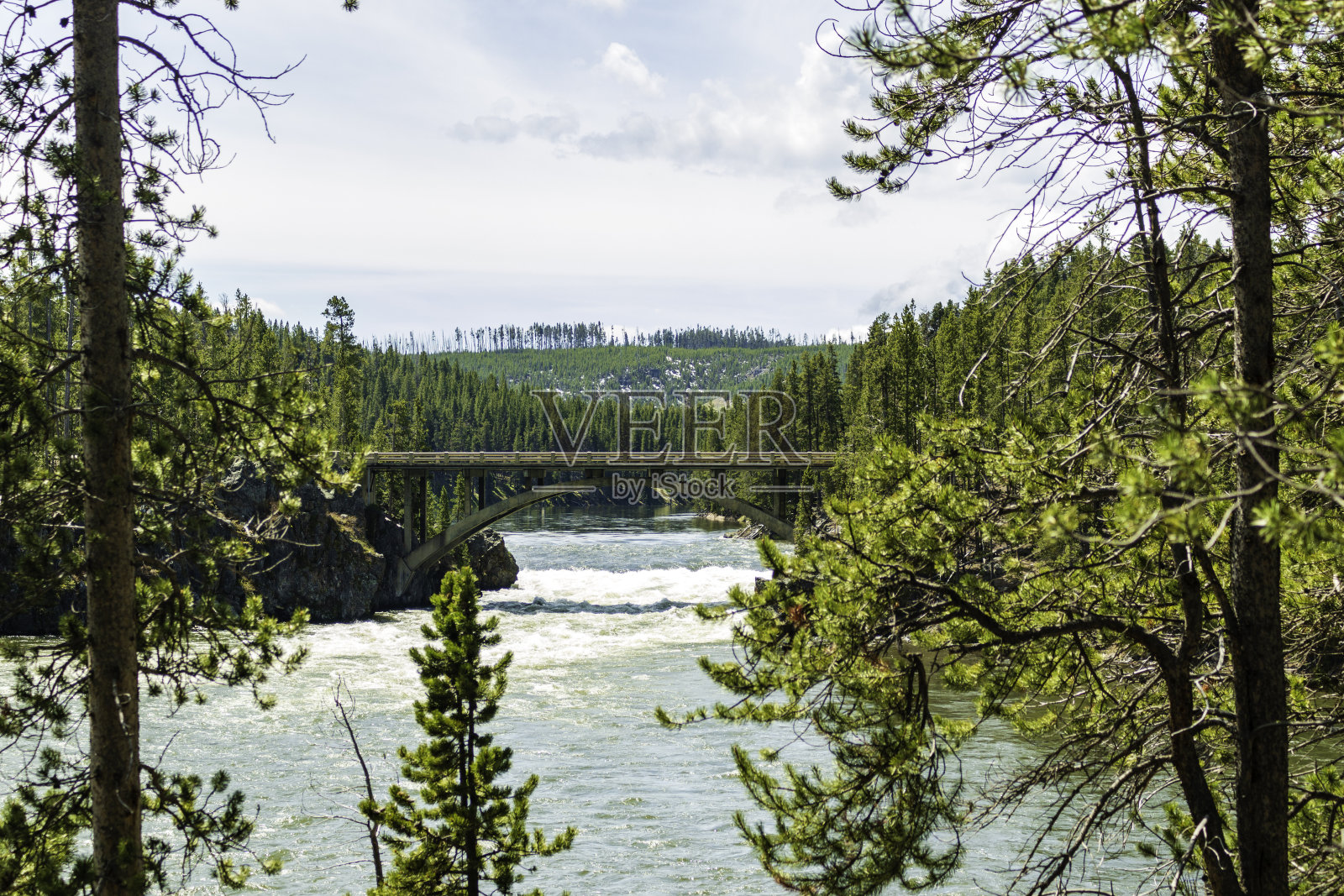 黄石国家公园的桥照片摄影图片