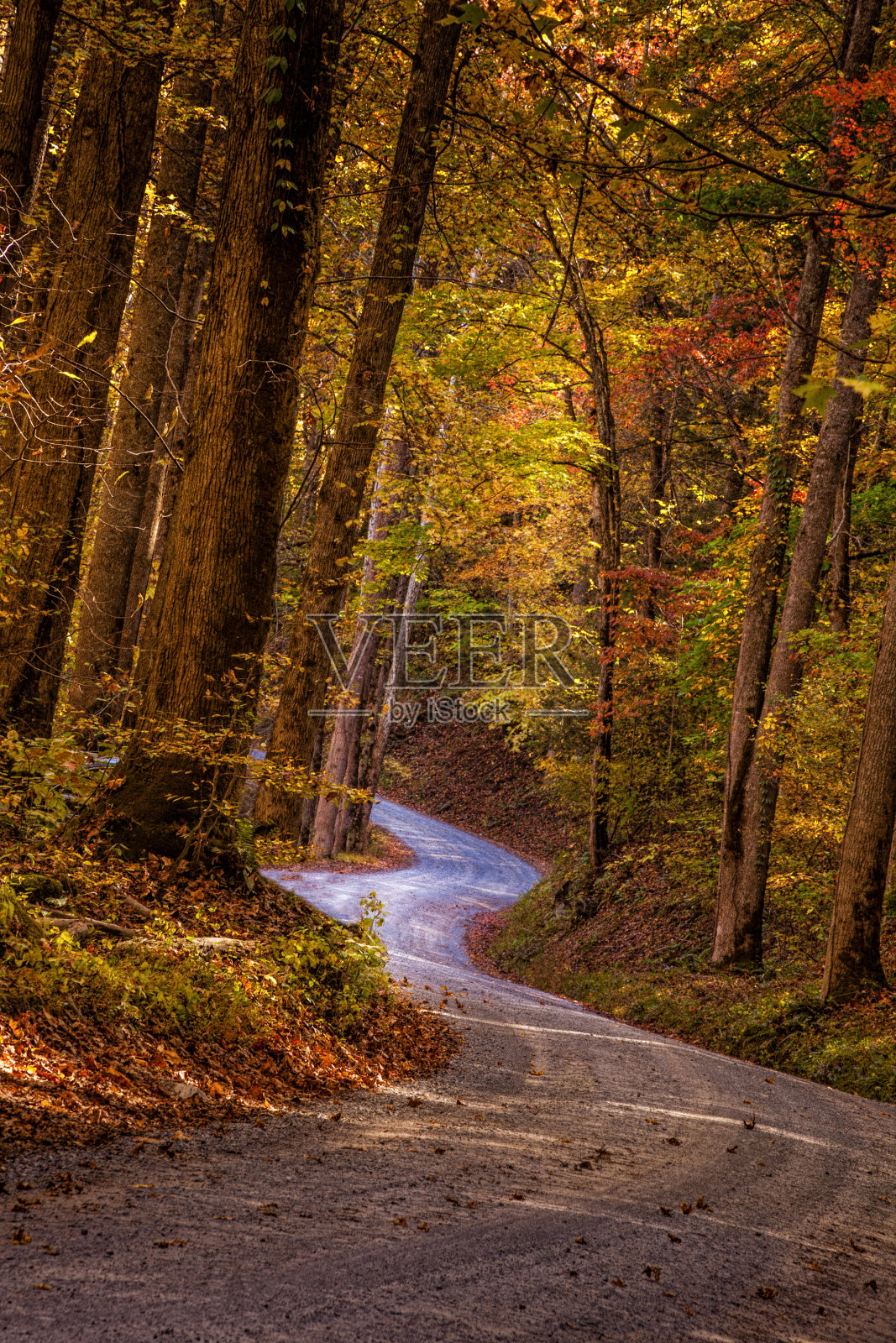 烟雾缭绕的道路照片摄影图片