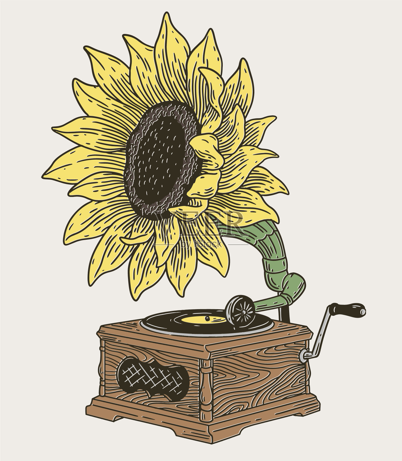 老式留声机与向日葵插画图片素材
