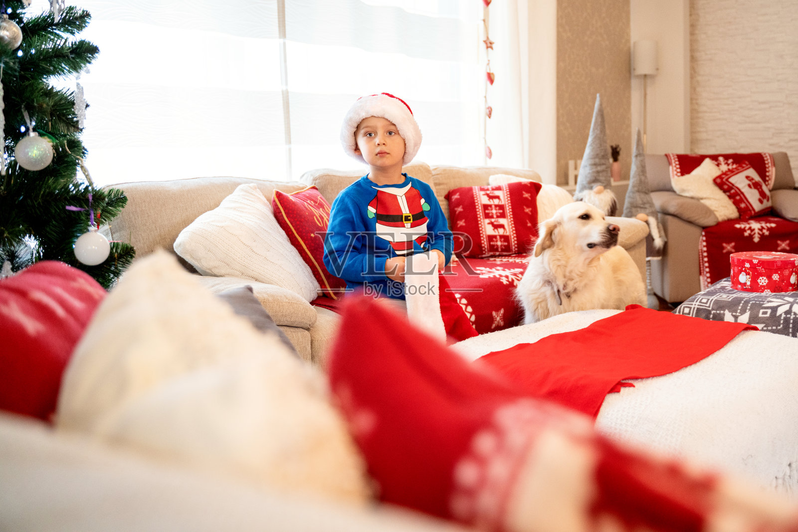 快乐可爱的孩子在圣诞老人的帽子玩狗在装饰客厅。照片摄影图片