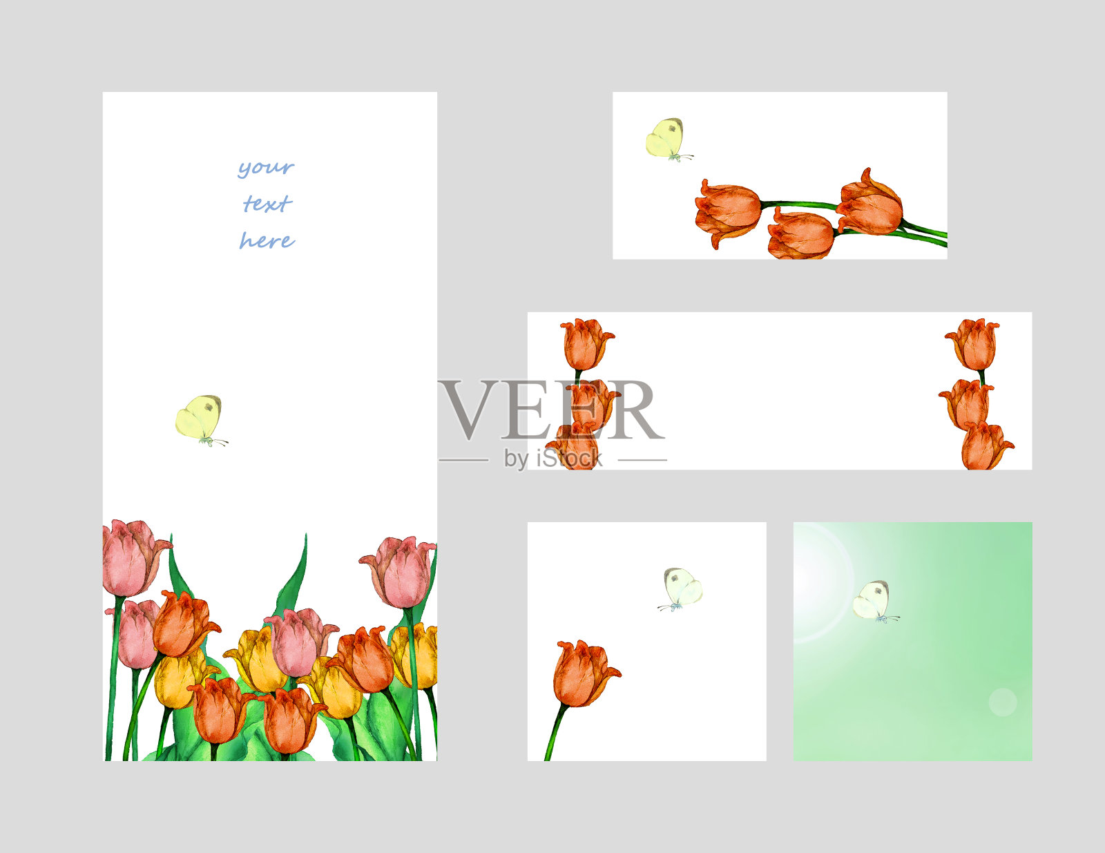 郁金香和蝴蝶画框设计模板素材