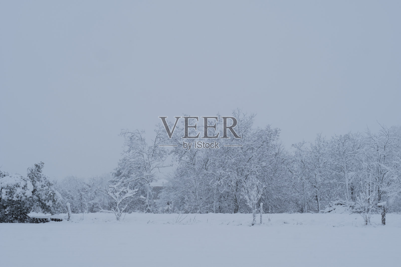 公园有雪照片摄影图片