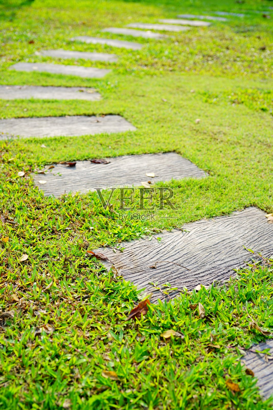 小径踩在草地上照片摄影图片