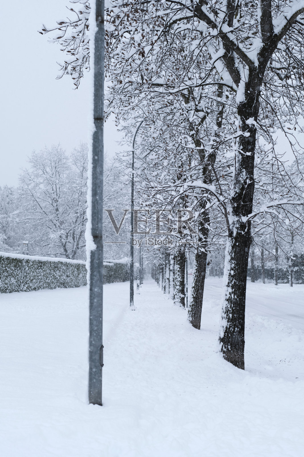 大街上有雪照片摄影图片