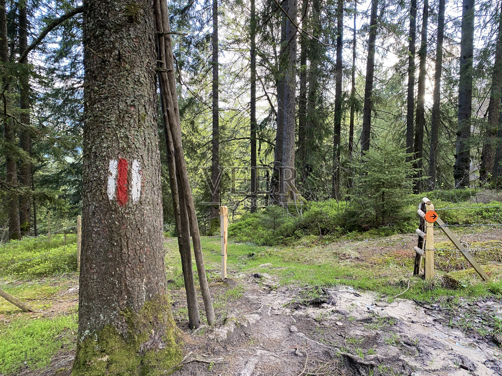 在皮拉图斯山脉的山峰和斜坡上的登山路标和标记，在Emmental阿尔卑斯山，Alpnach - Obwalden州，瑞士(Kanton Obwald, Schweiz)照片摄影图片