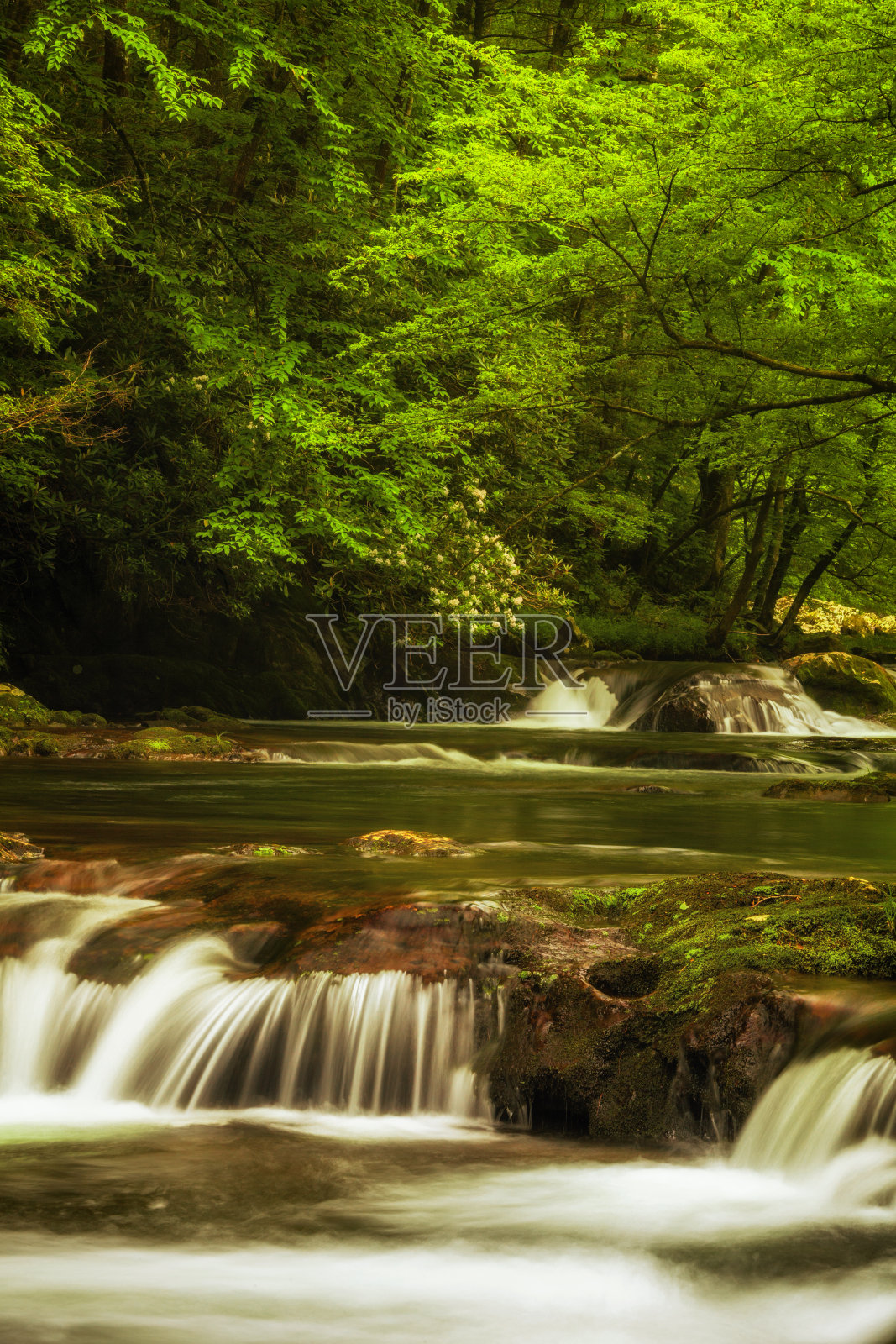 烟雾缭绕的河的场景照片摄影图片